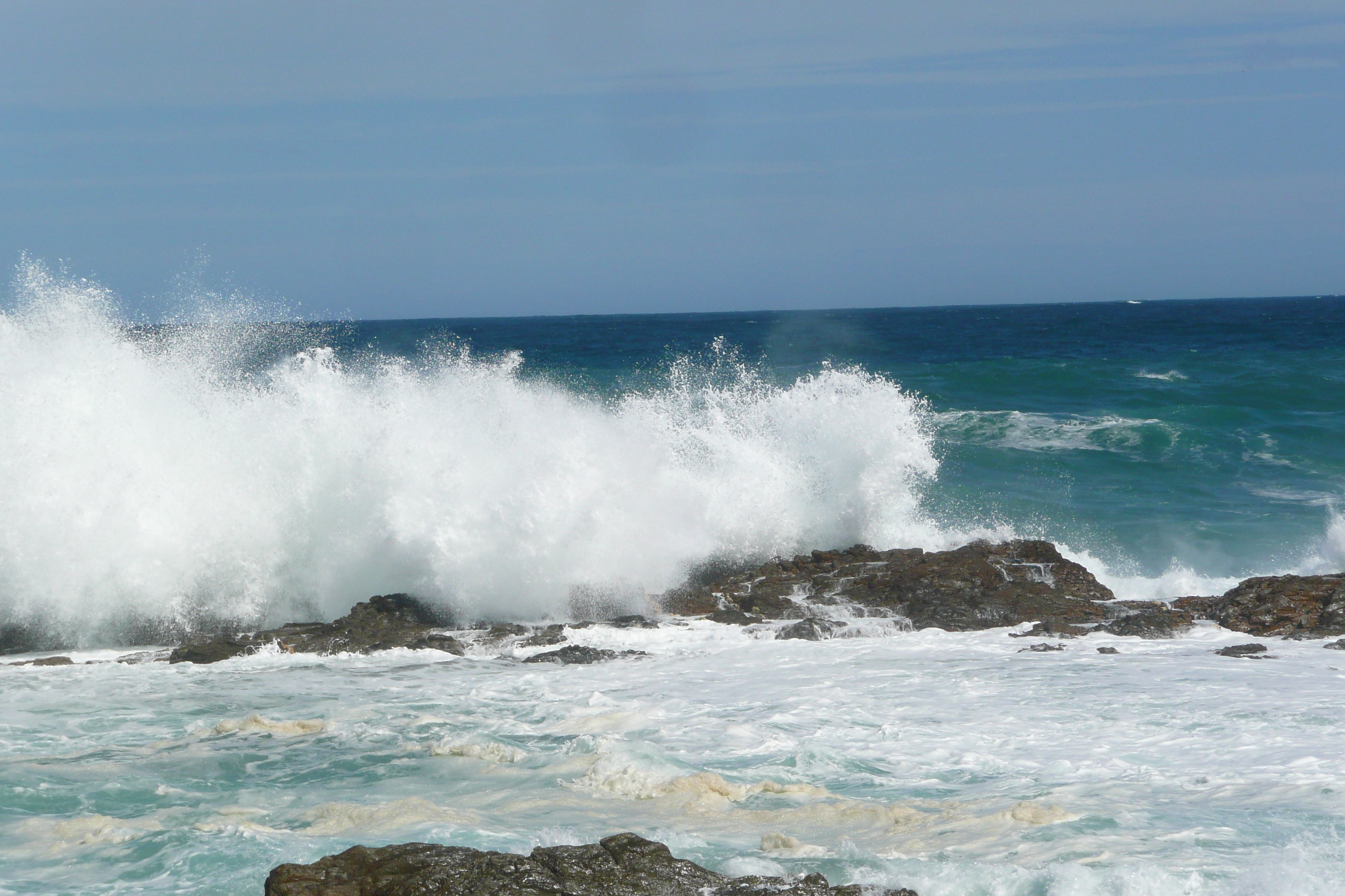 照片 南非(South Africa) 齐齐卡马国家公园(Tsitsikamma National Park) 2008-09 65