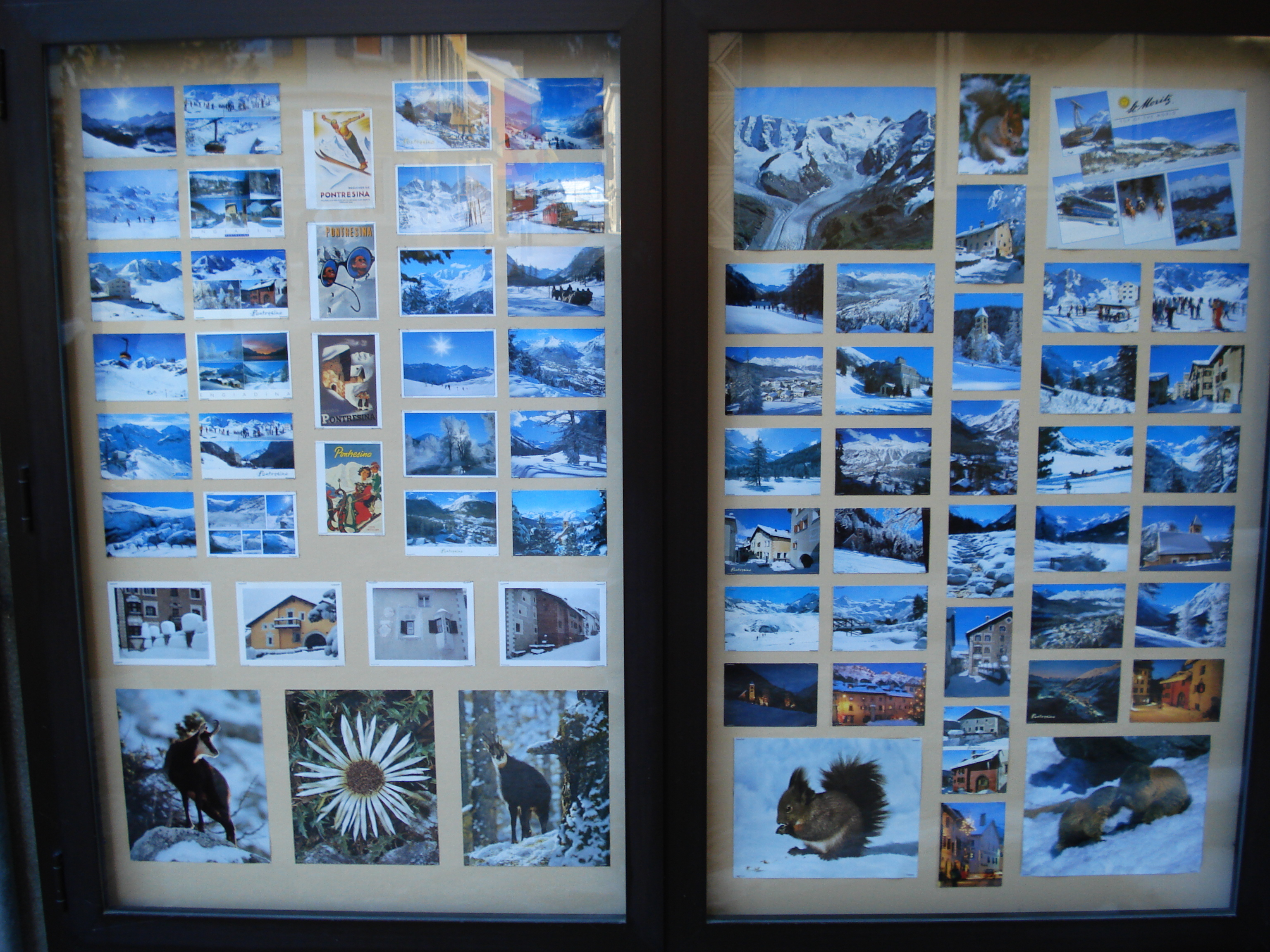 照片 瑞士(Switzerland) 蓬特雷西纳(Pontresina) 2007-01 30