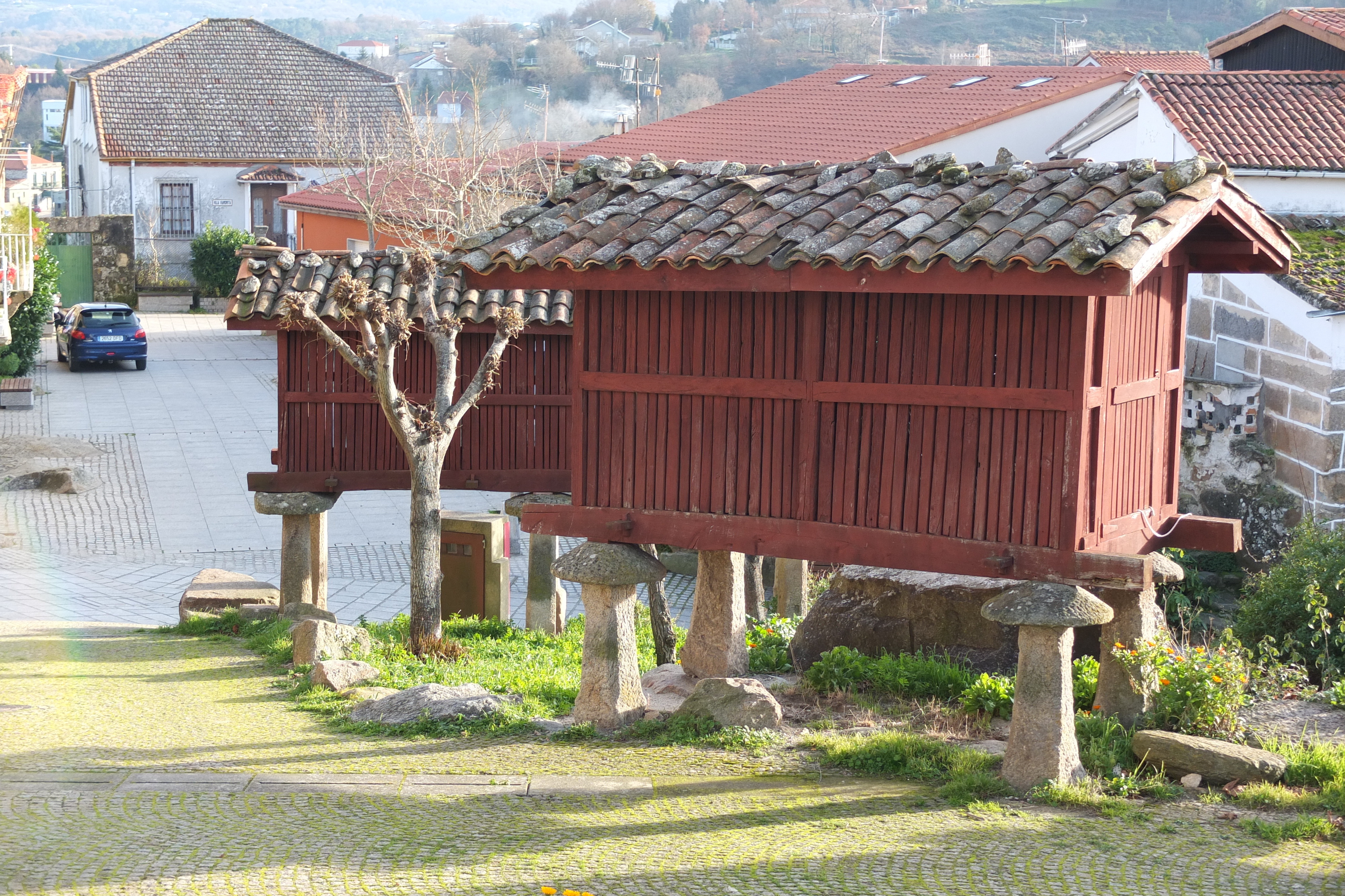 照片 西班牙(Spain) 塞拉诺瓦(Celanova) 2013-01 22