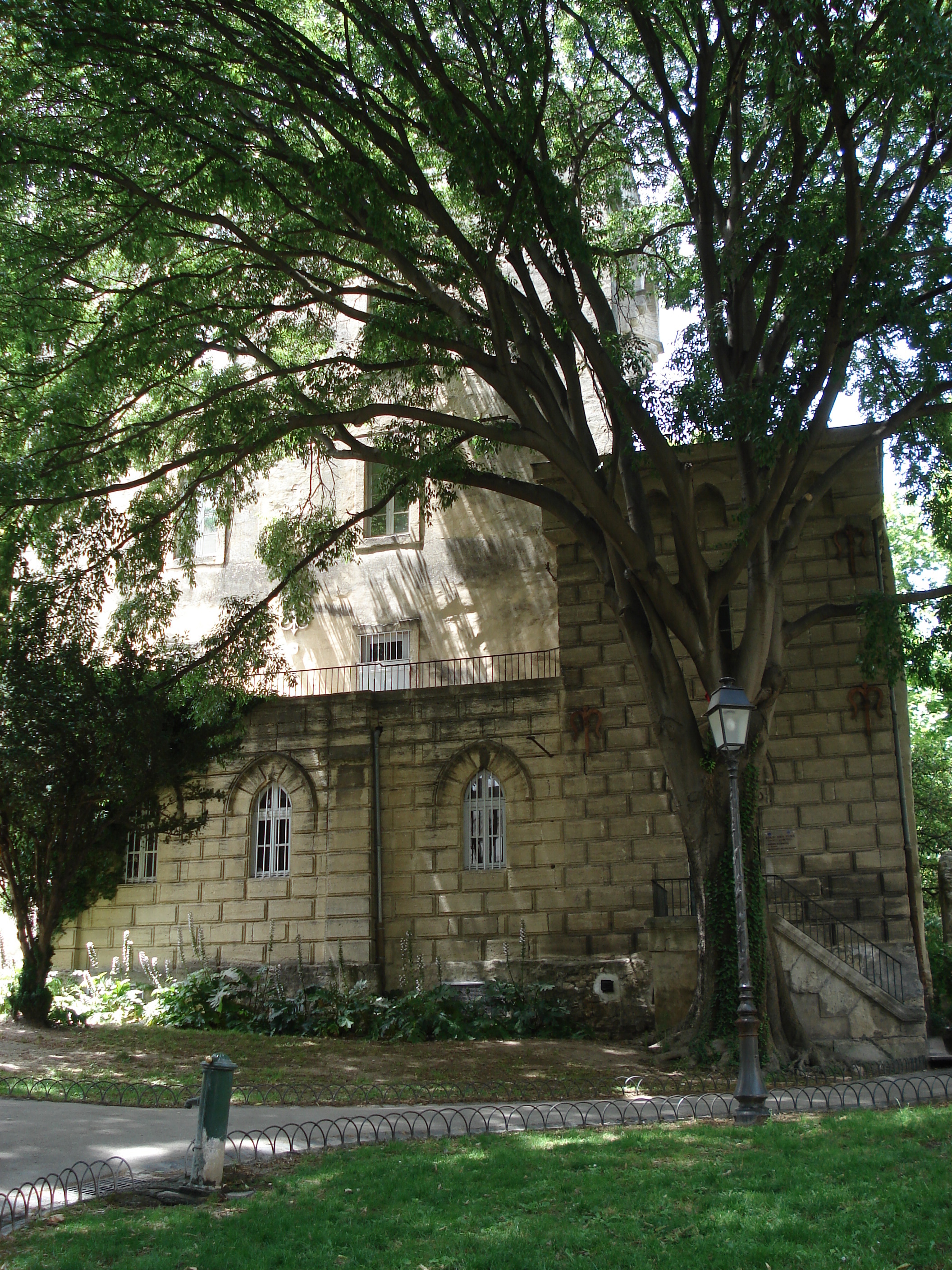 照片 法国(France) 蒙彼利埃(Montpellier) 2006-06 105