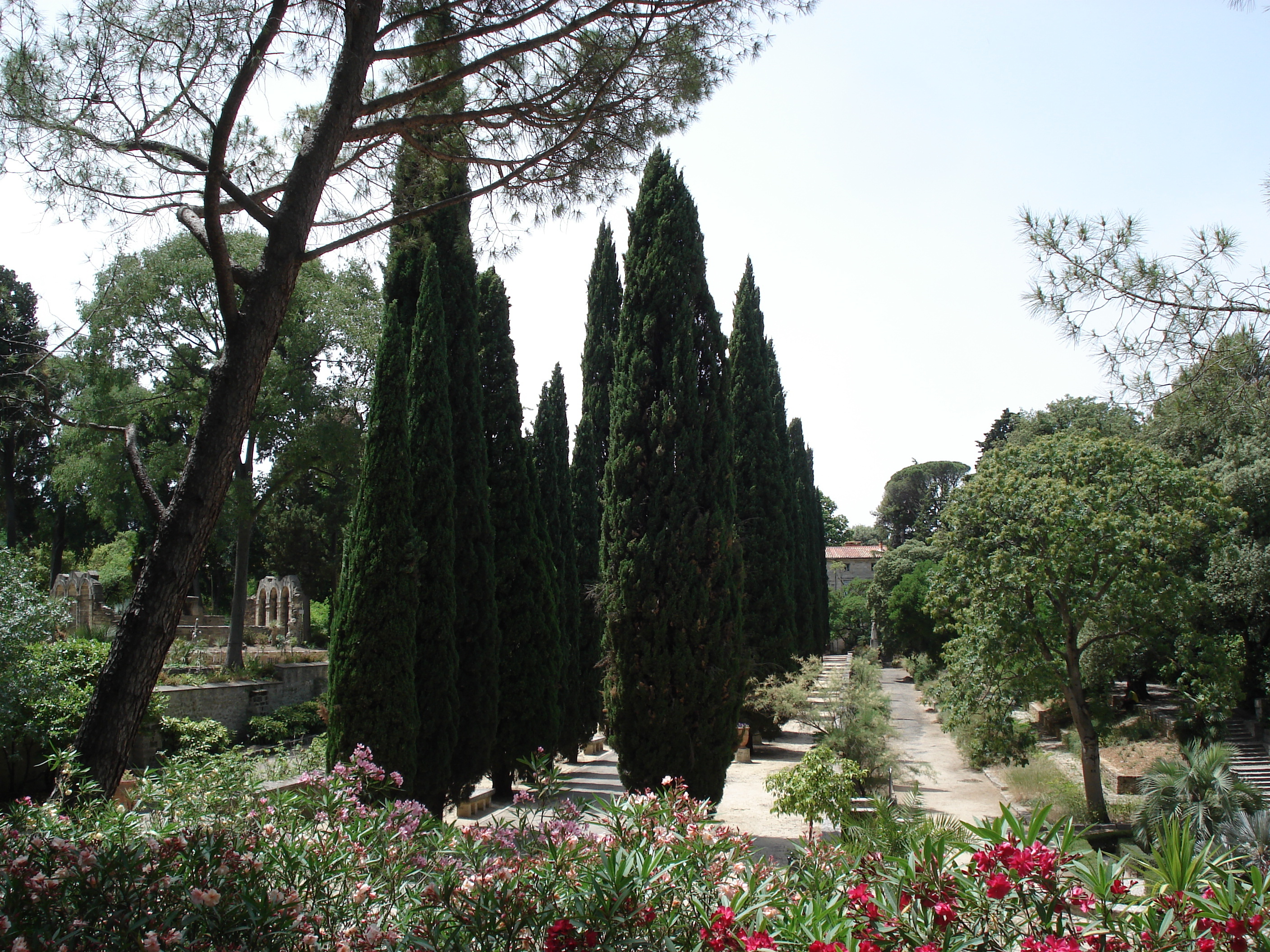 照片 法国(France) 蒙彼利埃(Montpellier) 2006-06 75