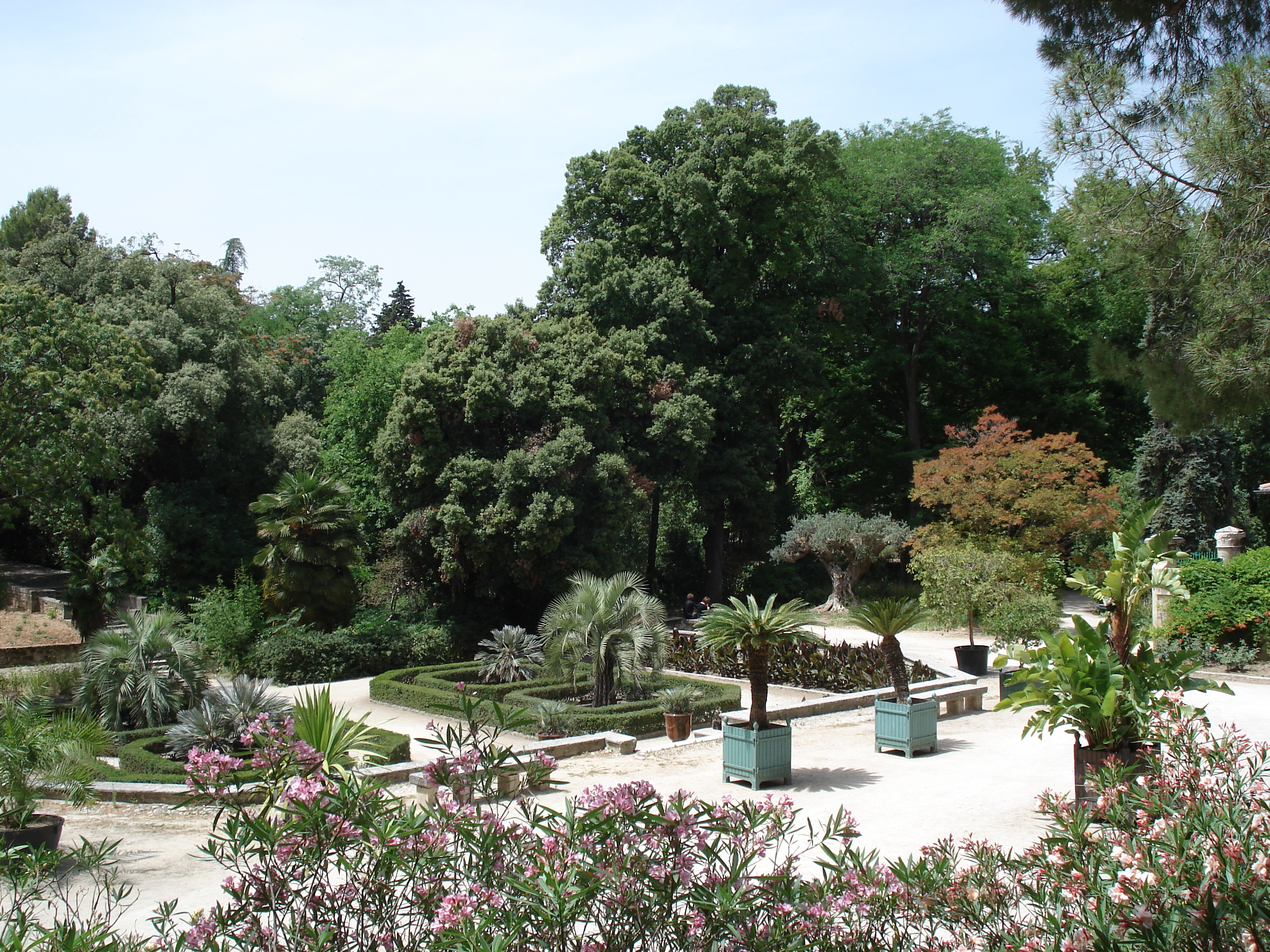 照片 法国(France) 蒙彼利埃(Montpellier) 2006-06 86