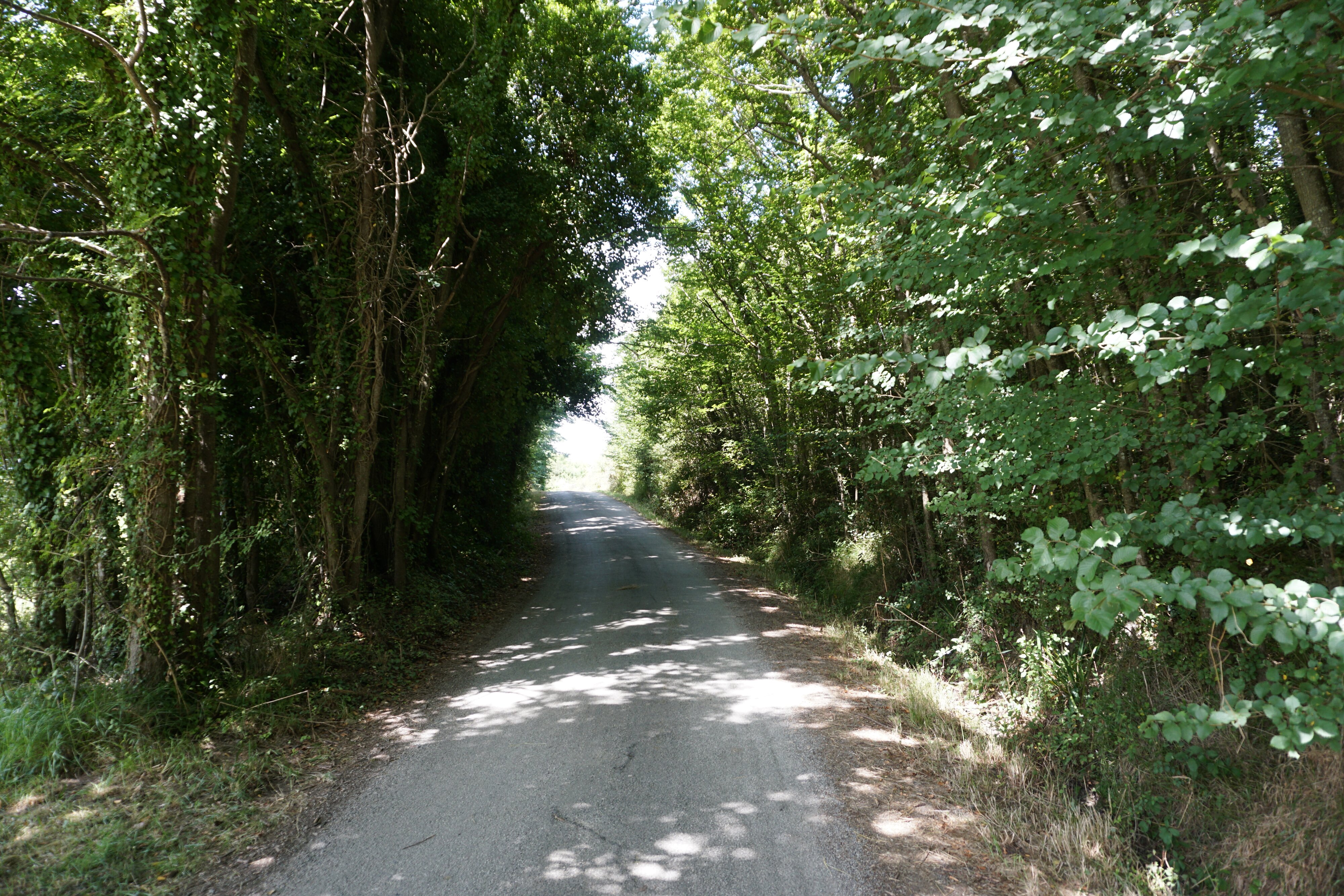 照片 法国(France) 美丽岛(Belle-Ile) 2016-08 33
