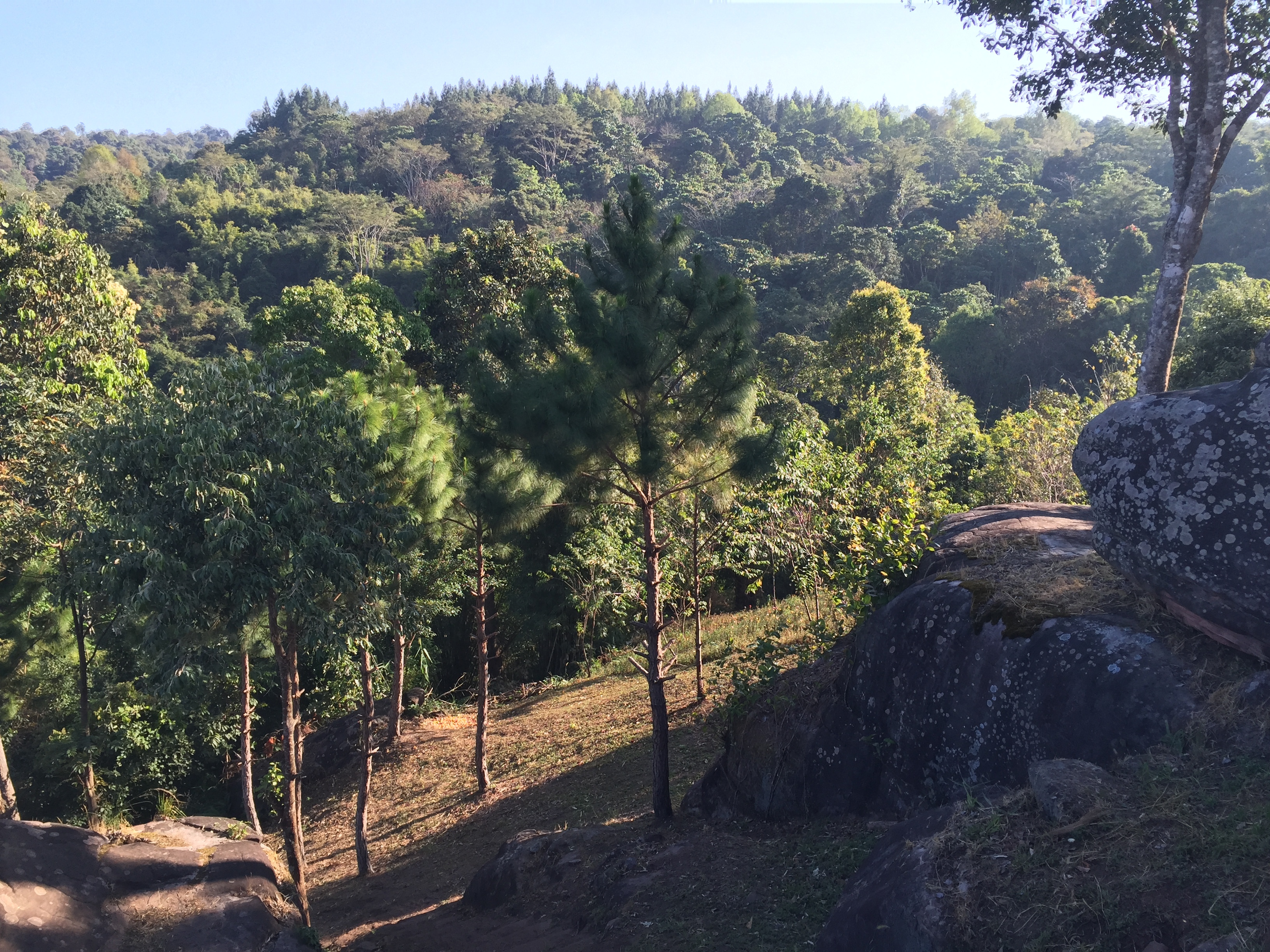 照片 泰国(Thailand) 普欣隆卡国家公园(Phu Hin Rong Kla National Park) 2014-12 251
