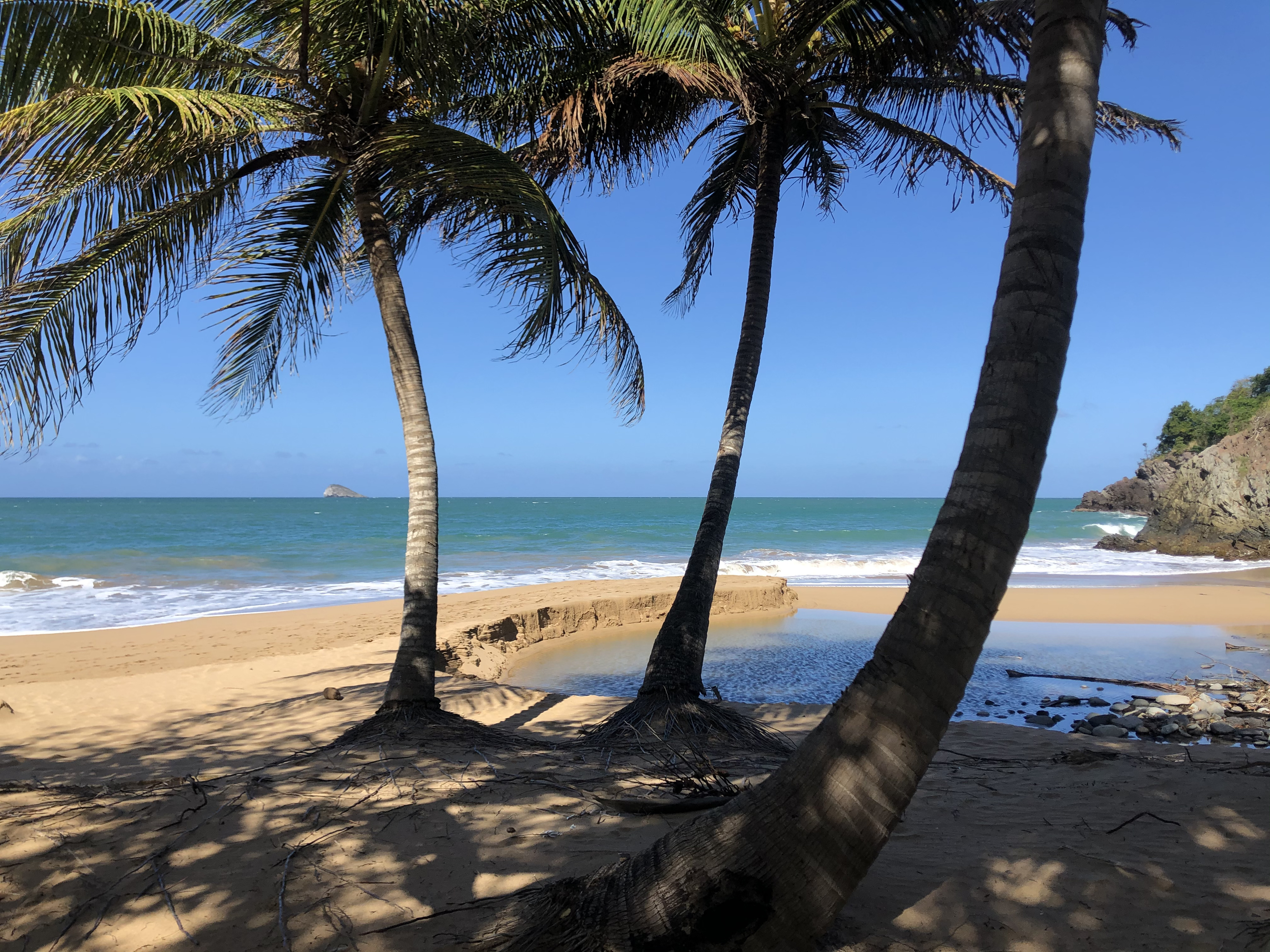 照片 瓜德罗普(Guadeloupe) 皇家堡(Fort Royal) 2021-02 25