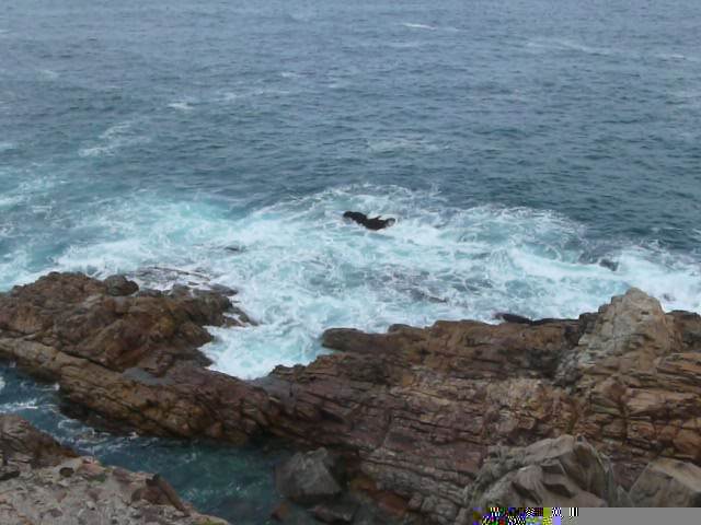 照片 南非(South Africa) 圣布莱斯角(Cape St Blaise) 2008-09 46