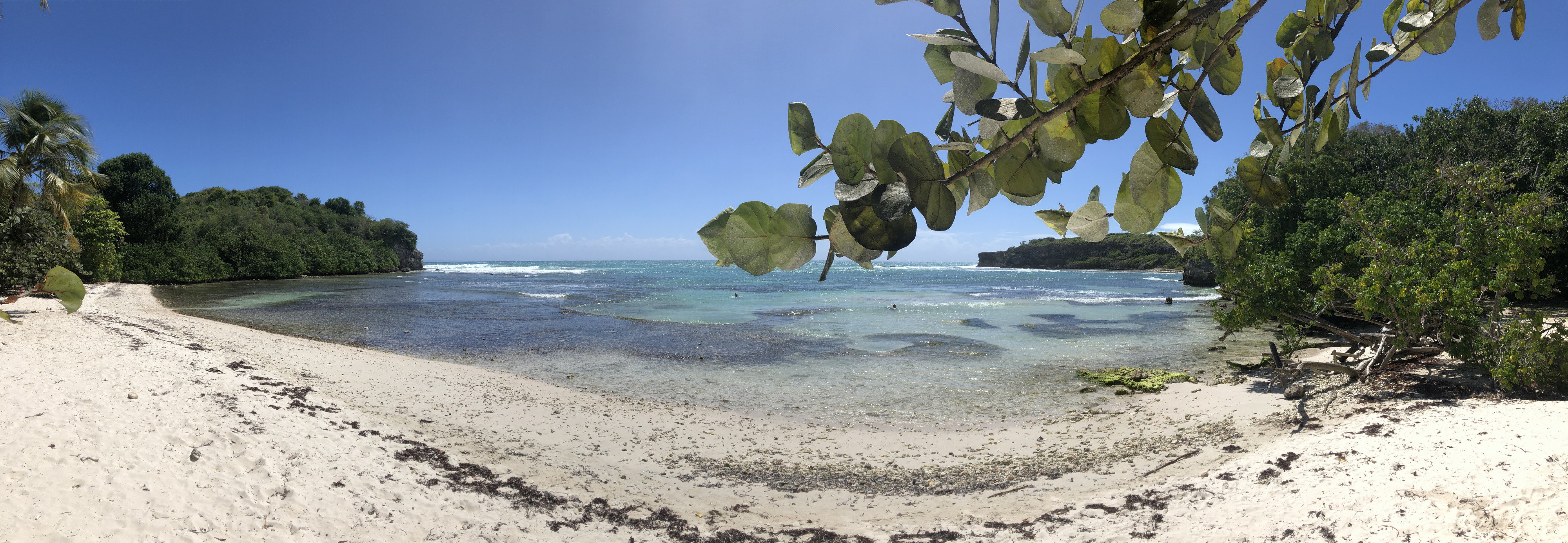 照片 瓜德罗普(Guadeloupe) 城堡角(Castle Point) 2021-02 3