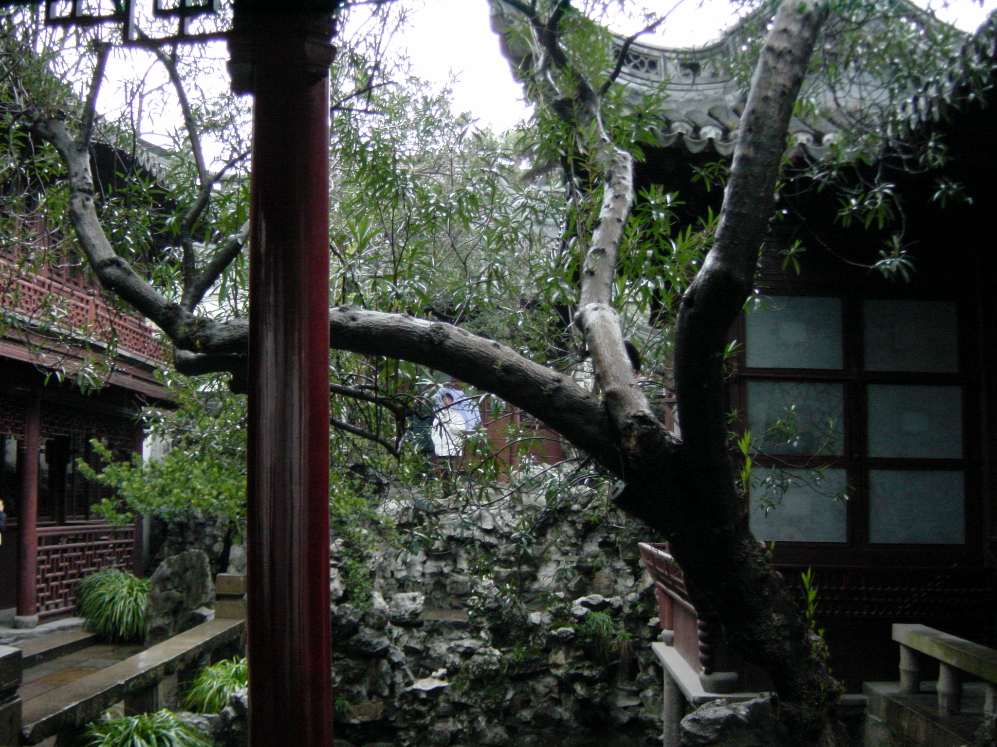 照片 中国(China) 上海(Shanghai) 2002-01 134