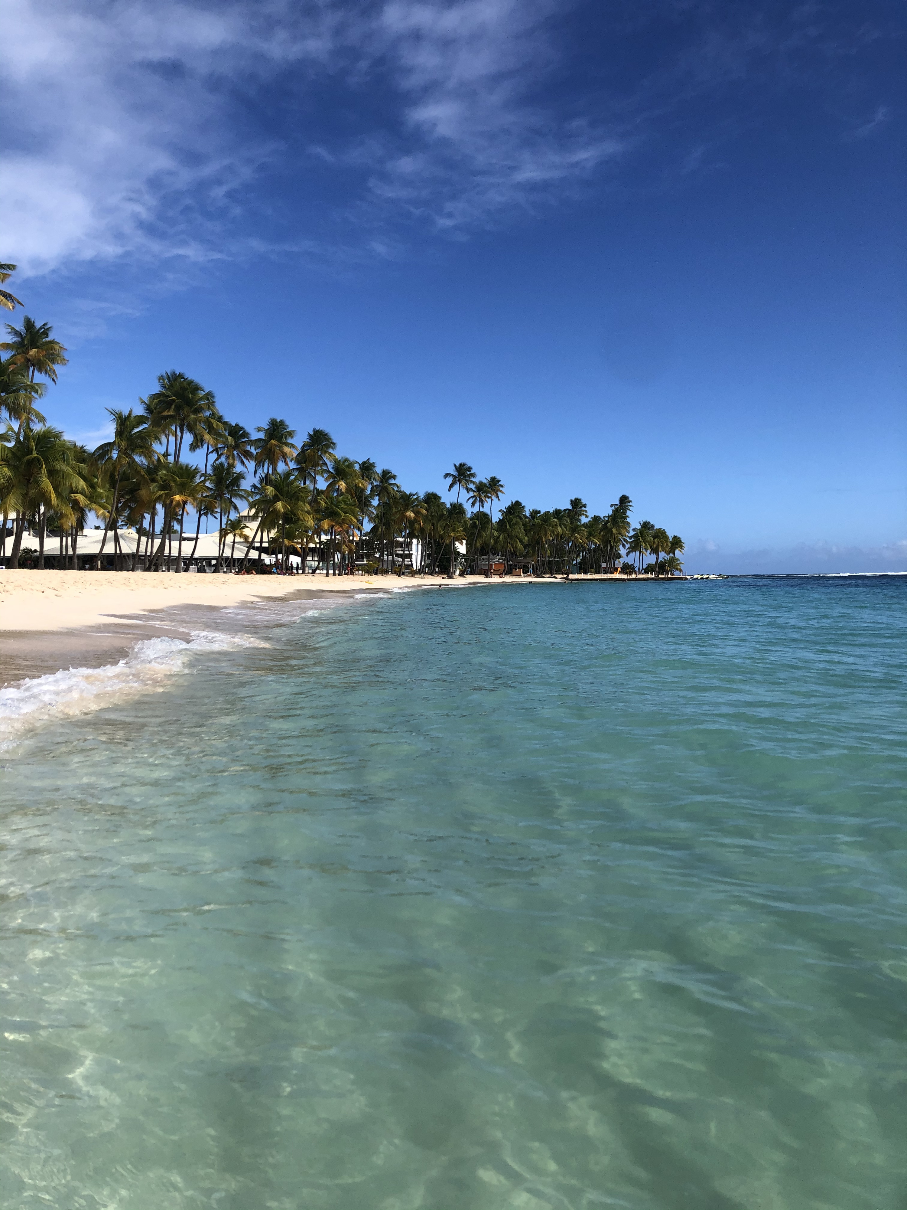 照片 瓜德罗普(Guadeloupe) 卡拉维尔海滩(La Caravelle Beach) 2021-02 144