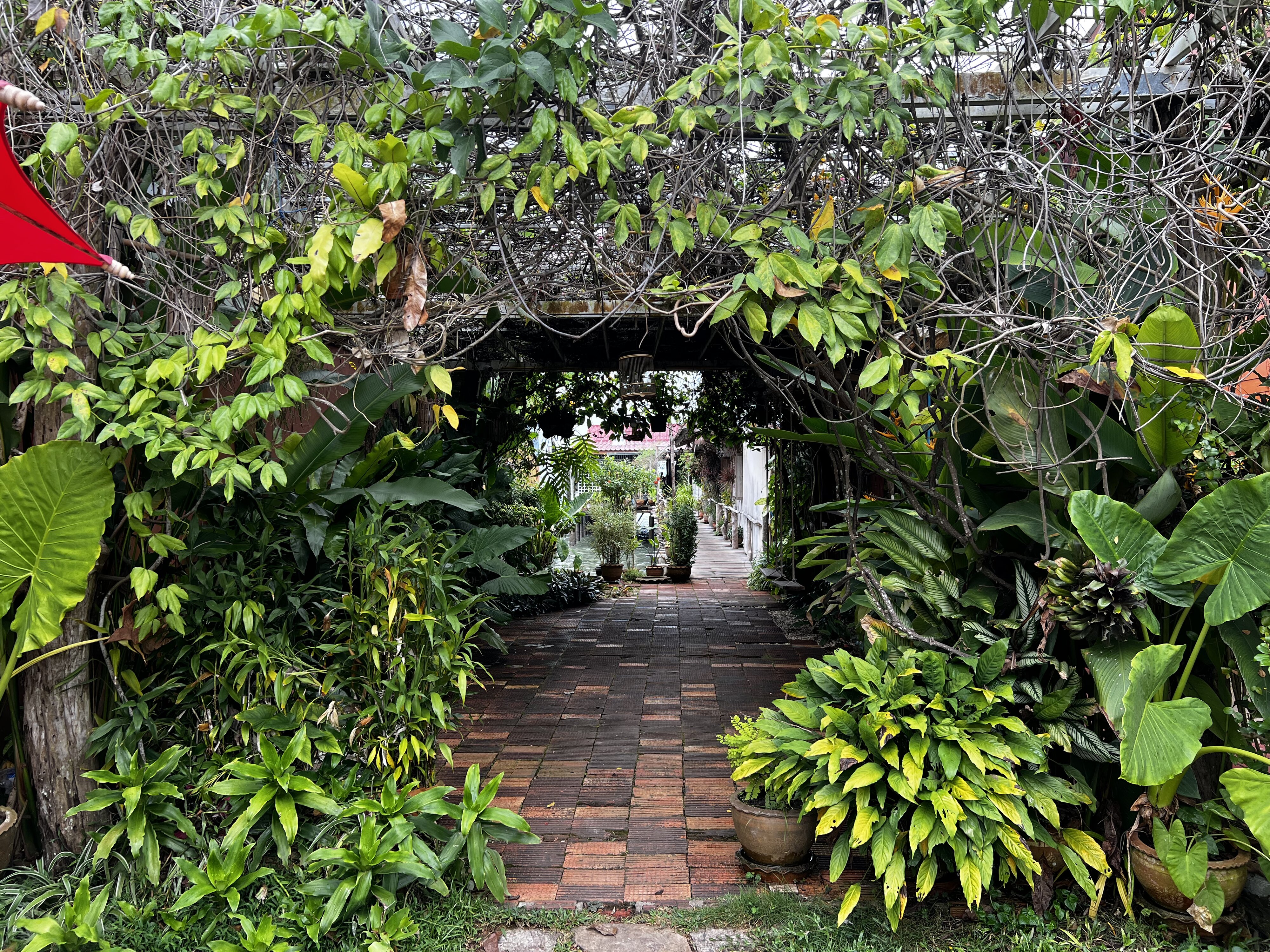 照片 泰国(Thailand) 兰塔岛(Ko Lanta) 2023-01 55