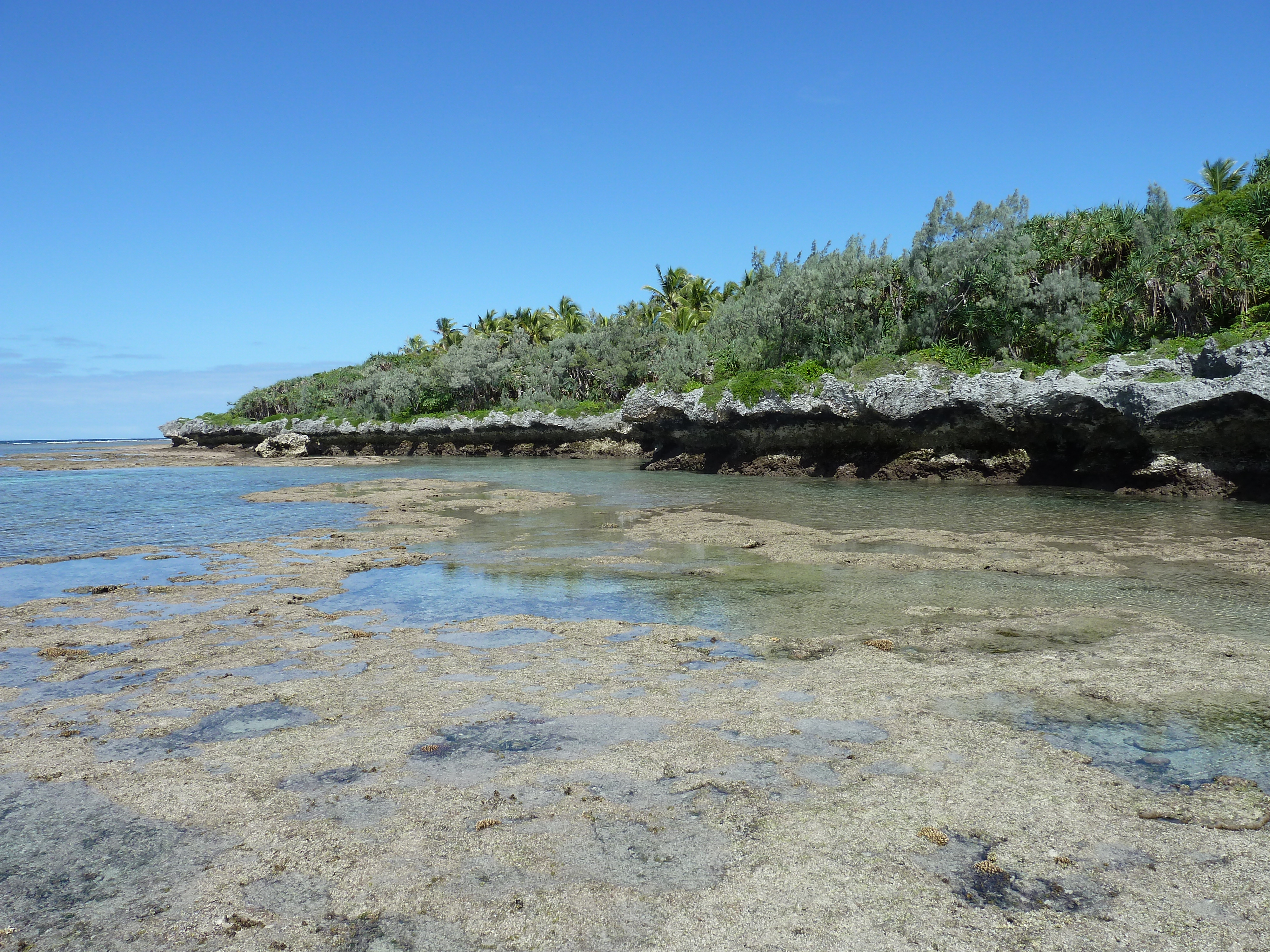 照片 新喀里多尼亚(New Caledonia) 利富岛(Lifou) 穆(Mu) 2010-05 48