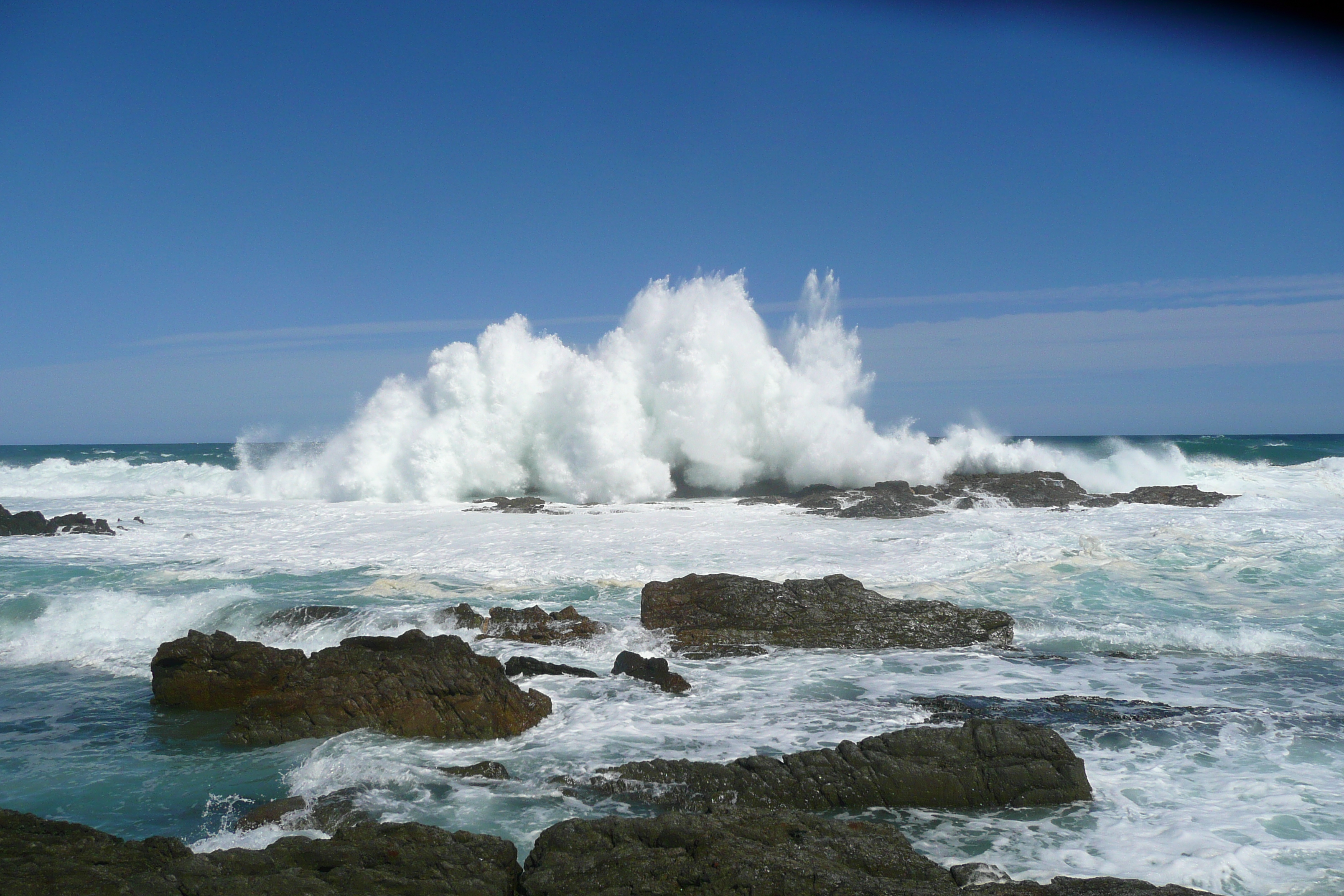 照片 南非(South Africa) 齐齐卡马国家公园(Tsitsikamma National Park) 2008-09 379