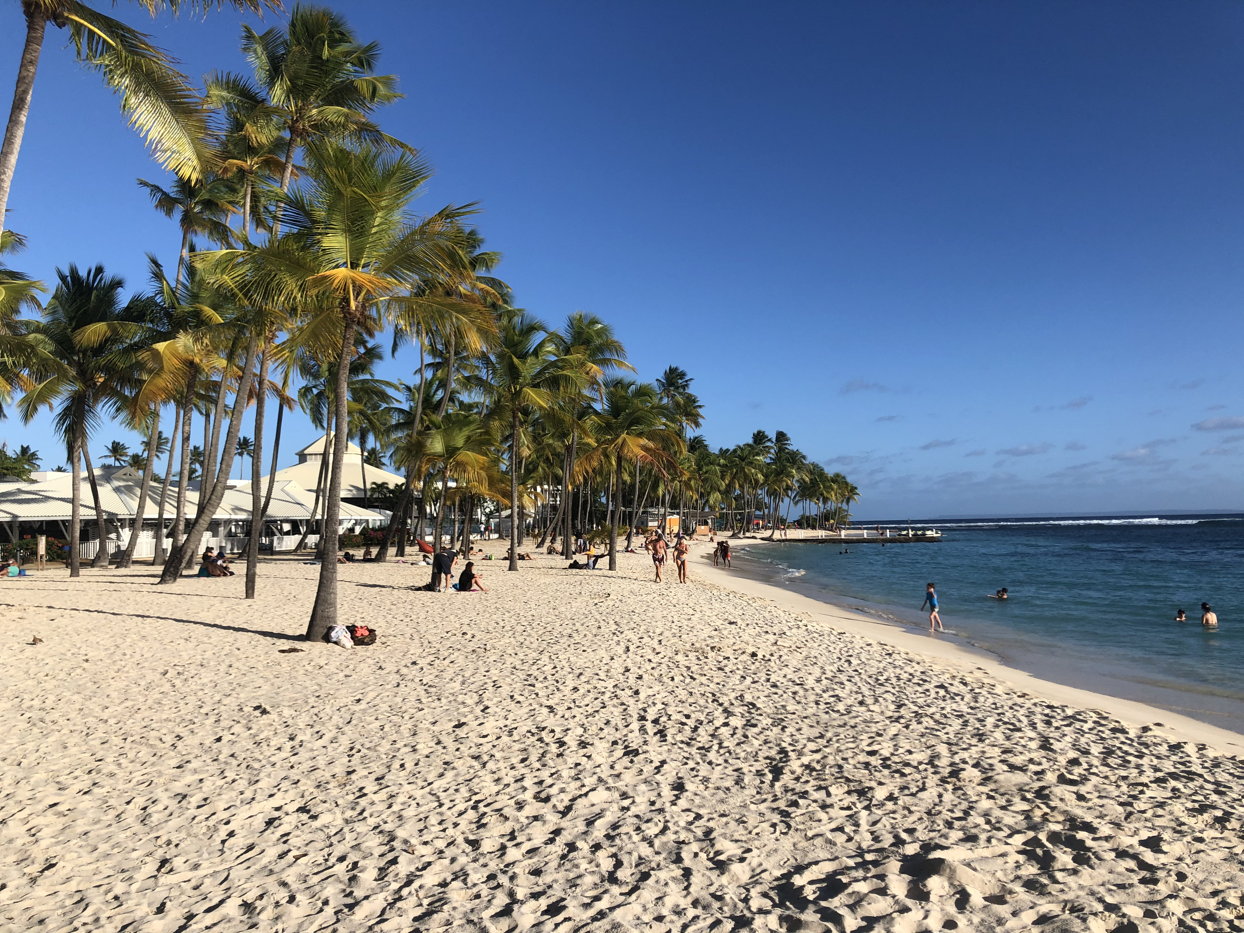 照片 瓜德罗普(Guadeloupe) 卡拉维尔海滩(La Caravelle Beach) 2021-02 113