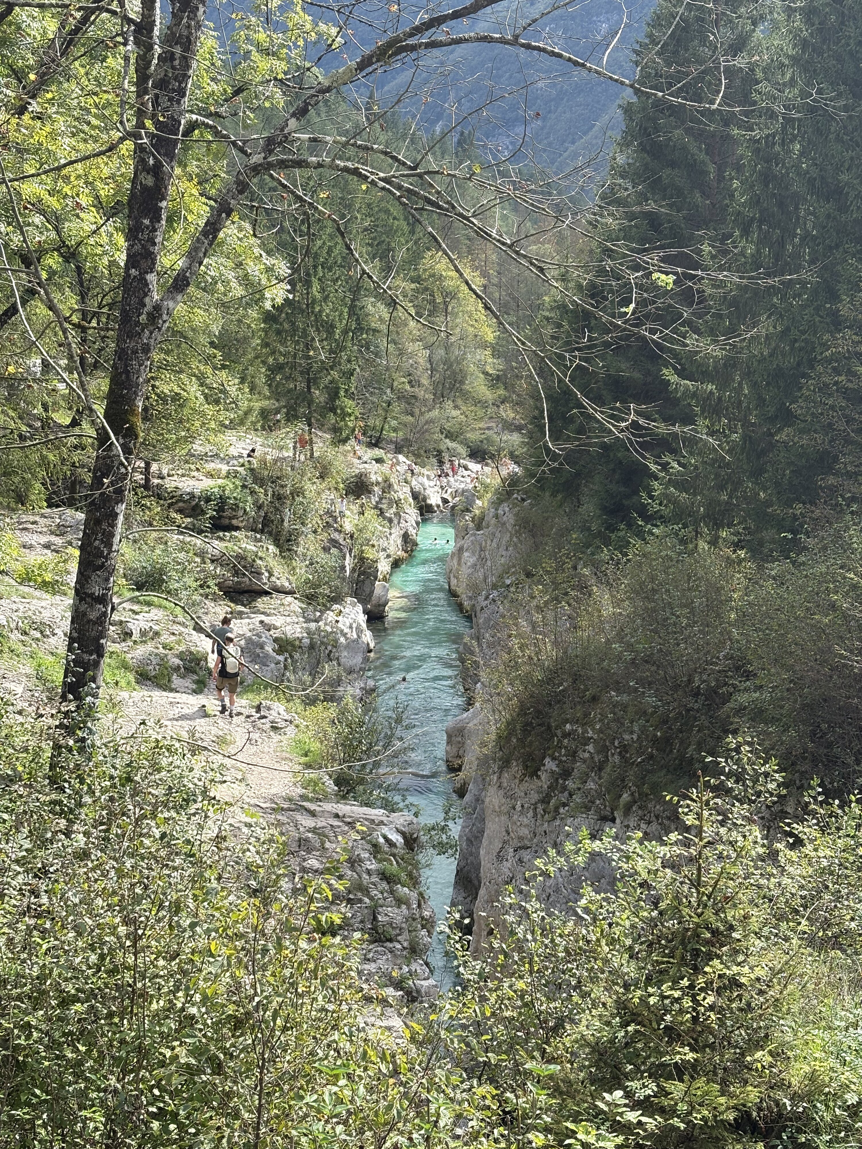 照片 斯洛文尼亚(Slovenia) 索查河(Soca River) 2025-09 155