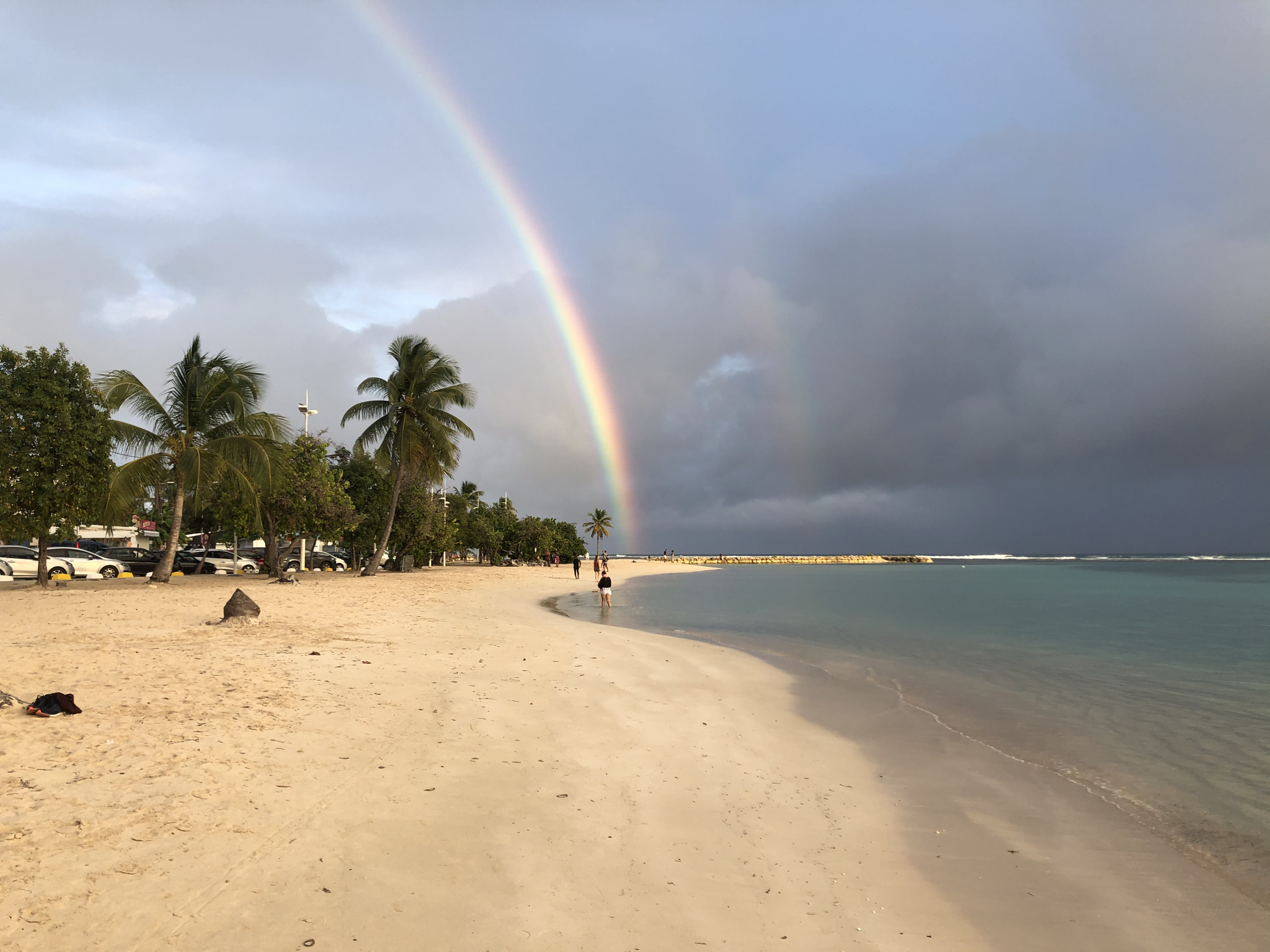 照片 瓜德罗普(Guadeloupe) 圣安妮(Sainte Anne) 2021-02 52