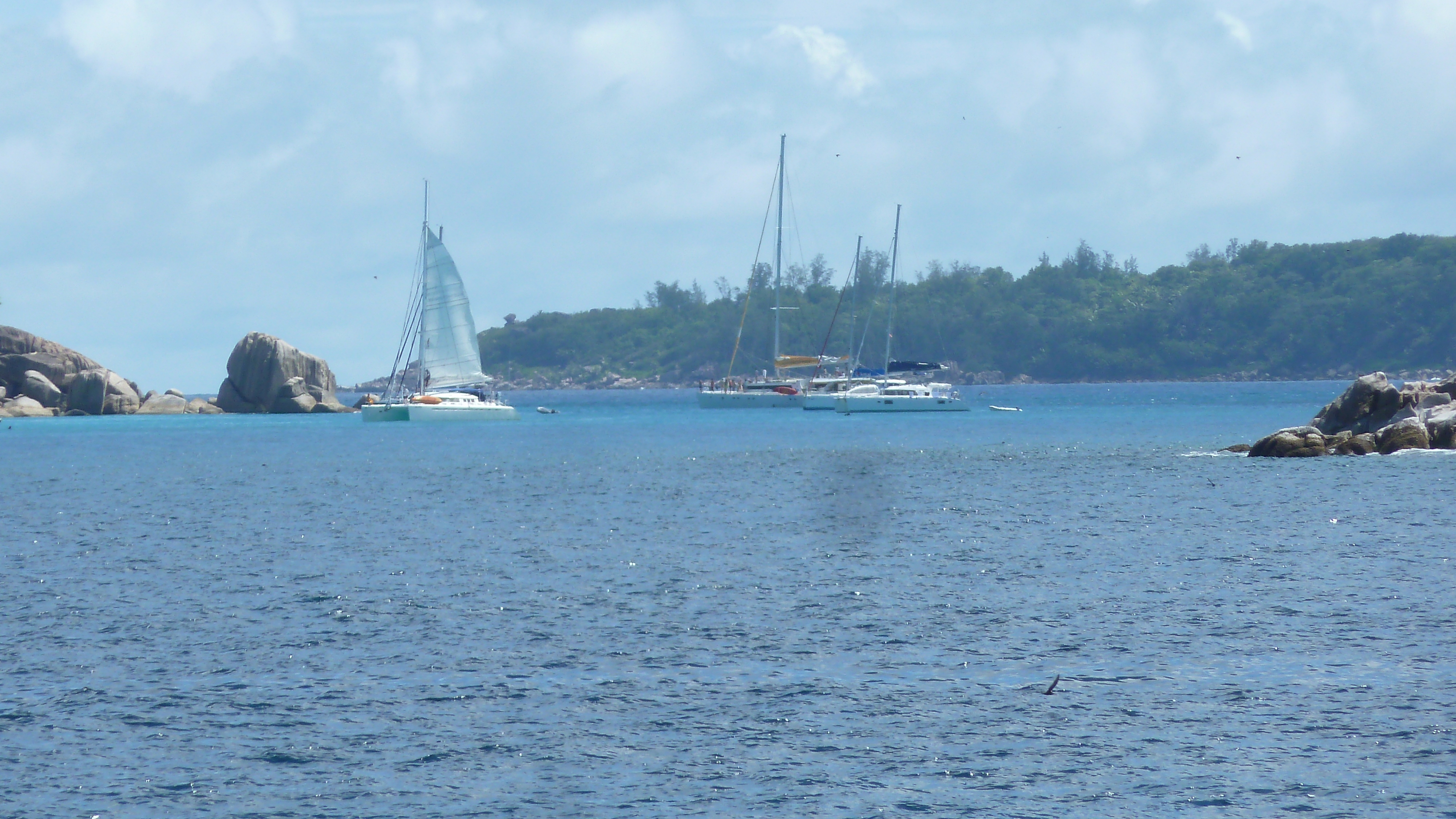 照片 塞舌尔(Seychelles) 椰子岛(Coco Island) 2011-10 44