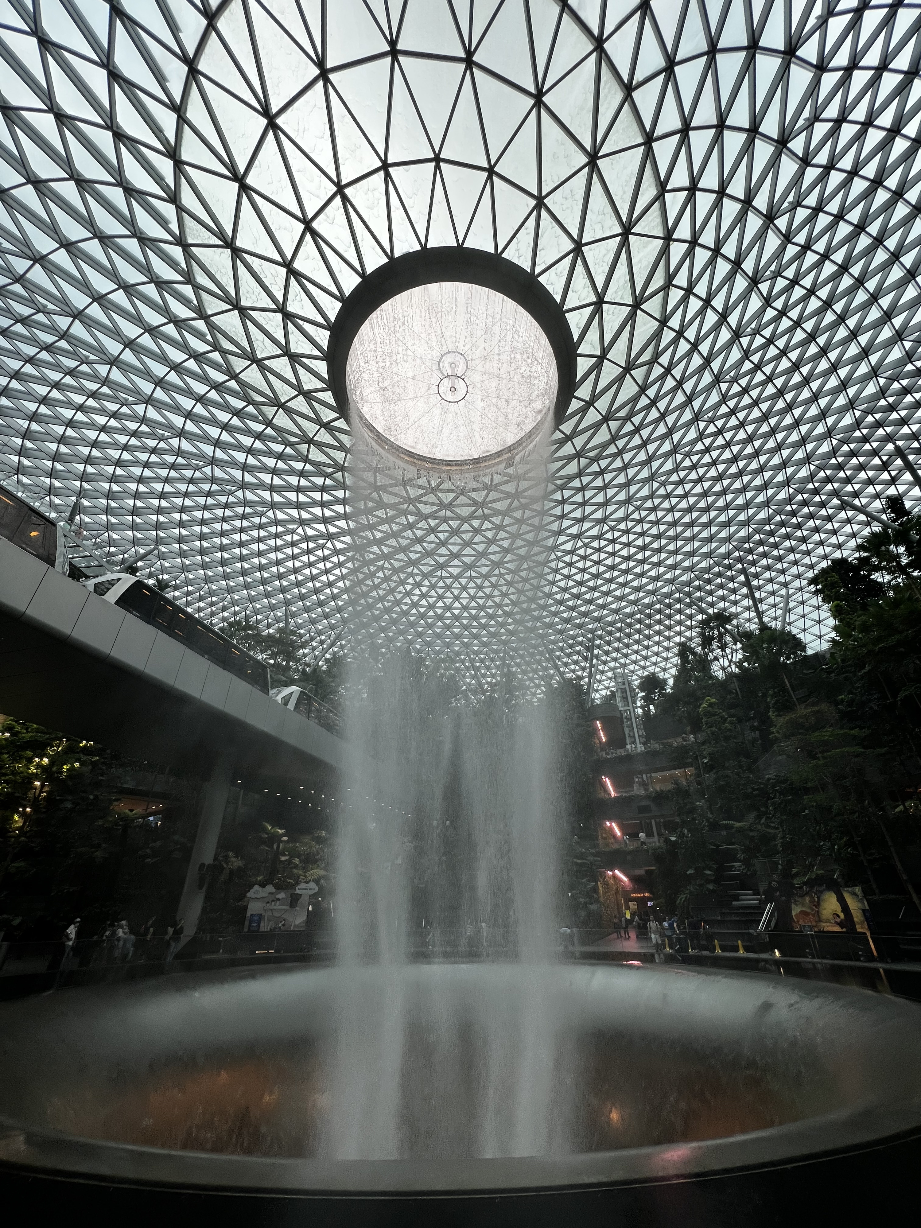 照片 新加坡(Singapore) 新加坡樟宜机场(Singapore Changi Airport) 2023-01 25