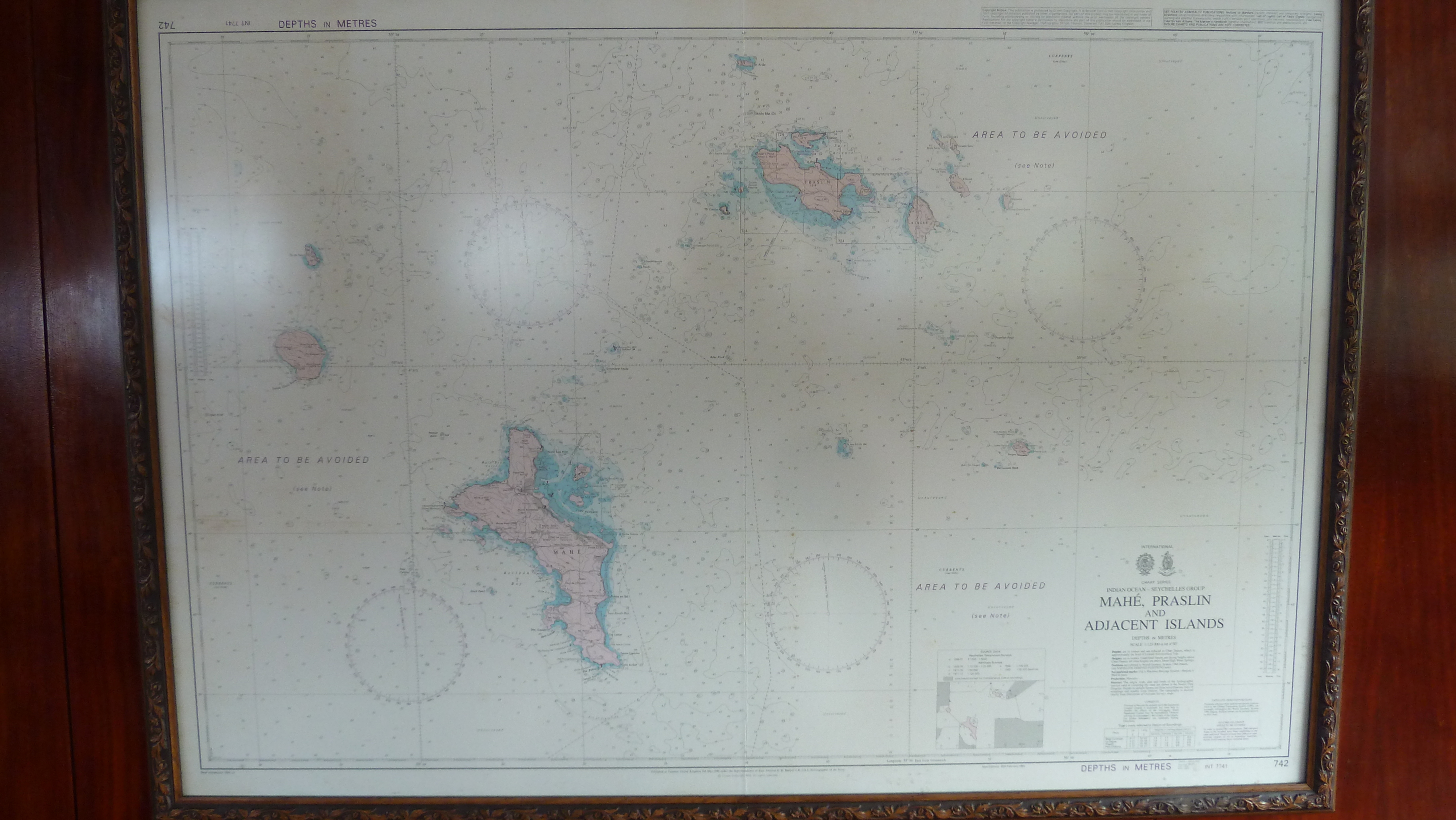 照片 塞舌尔(Seychelles) 海星(Sea Star) 2011-10 29