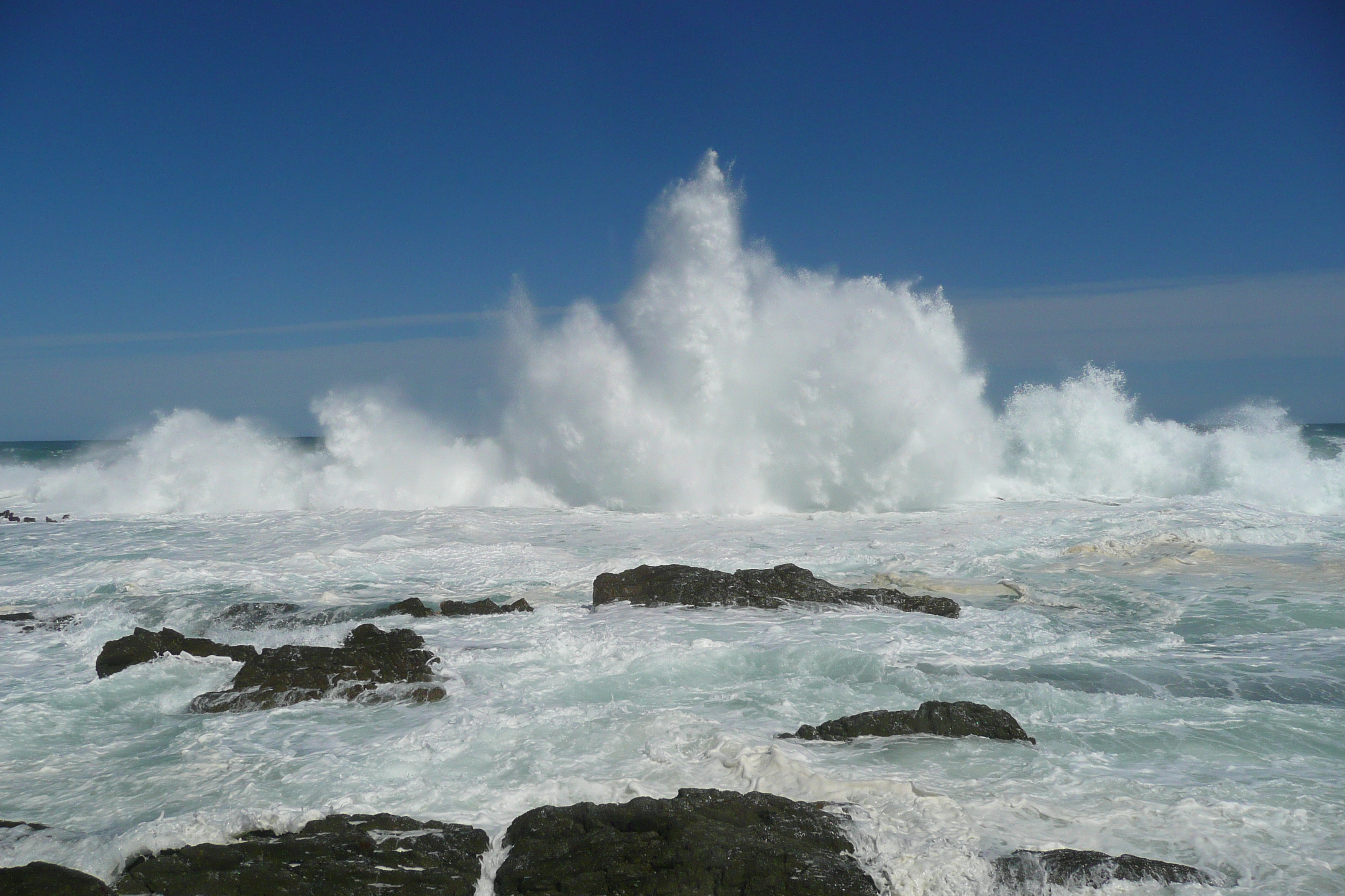 照片 南非(South Africa) 齐齐卡马国家公园(Tsitsikamma National Park) 2008-09 44
