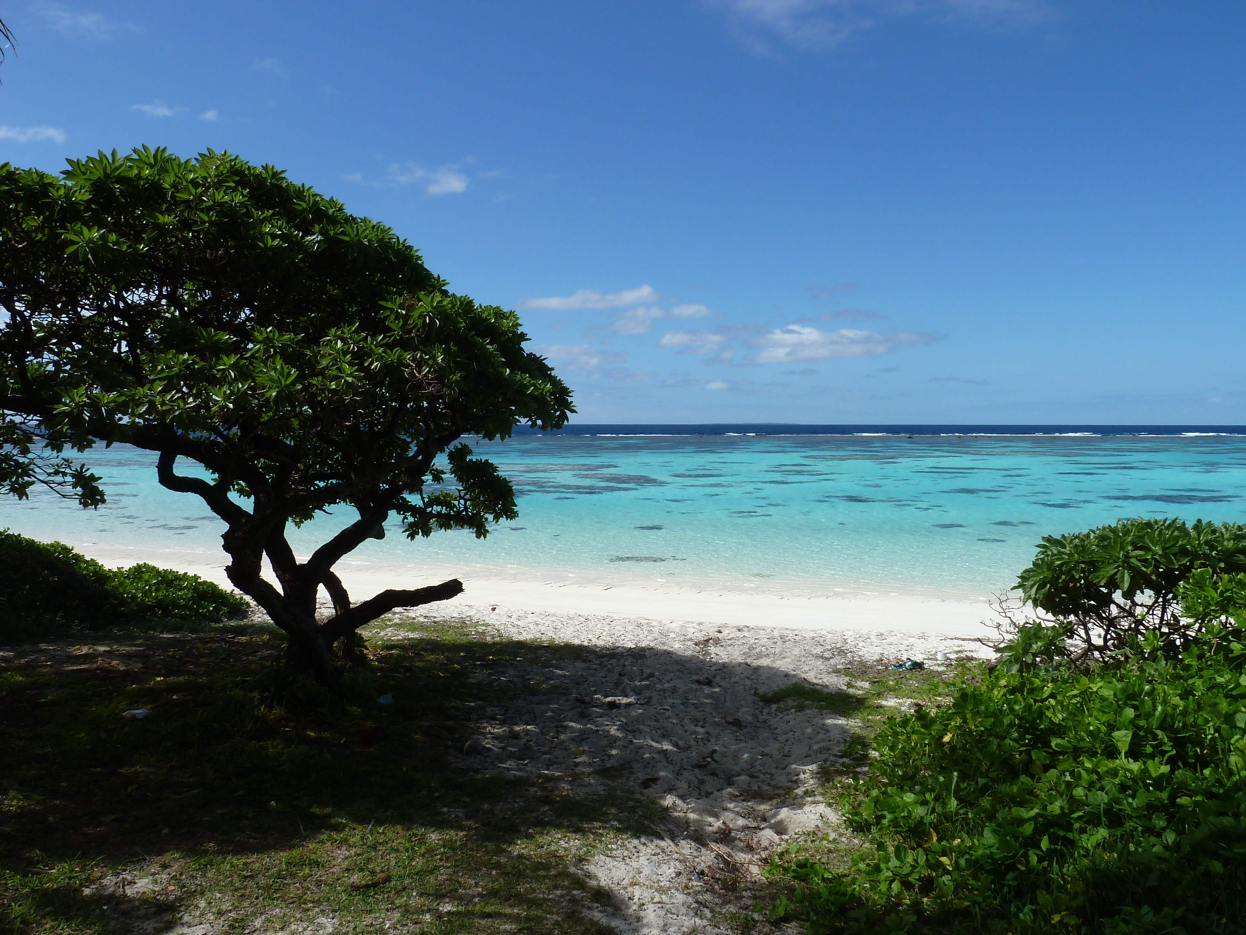 照片 新喀里多尼亚(New Caledonia) 2010-05 14
