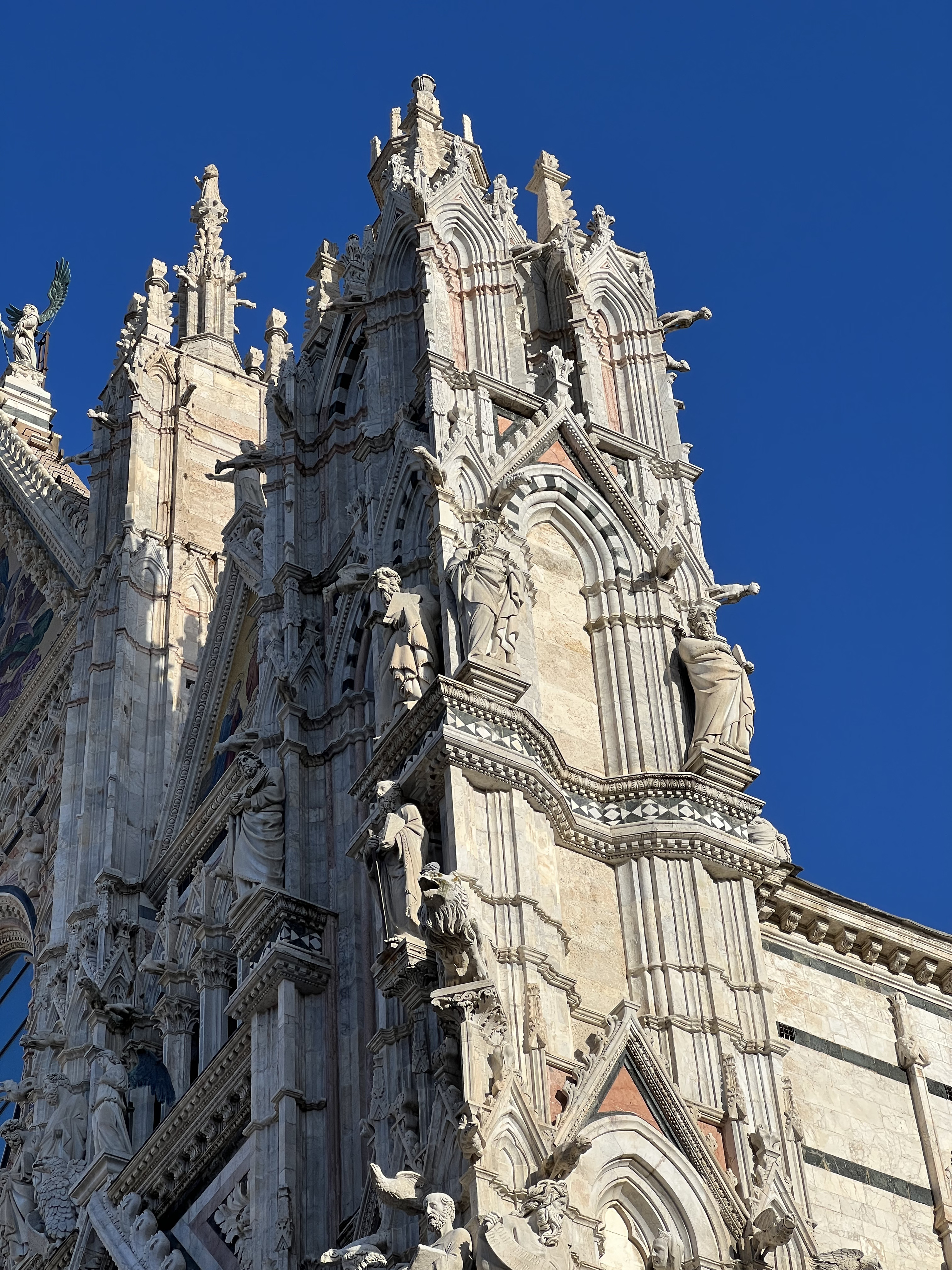 照片 意大利(Italy) 锡耶纳(Siena) 锡耶纳大教堂(Duomo di Siena) 2021-09 38