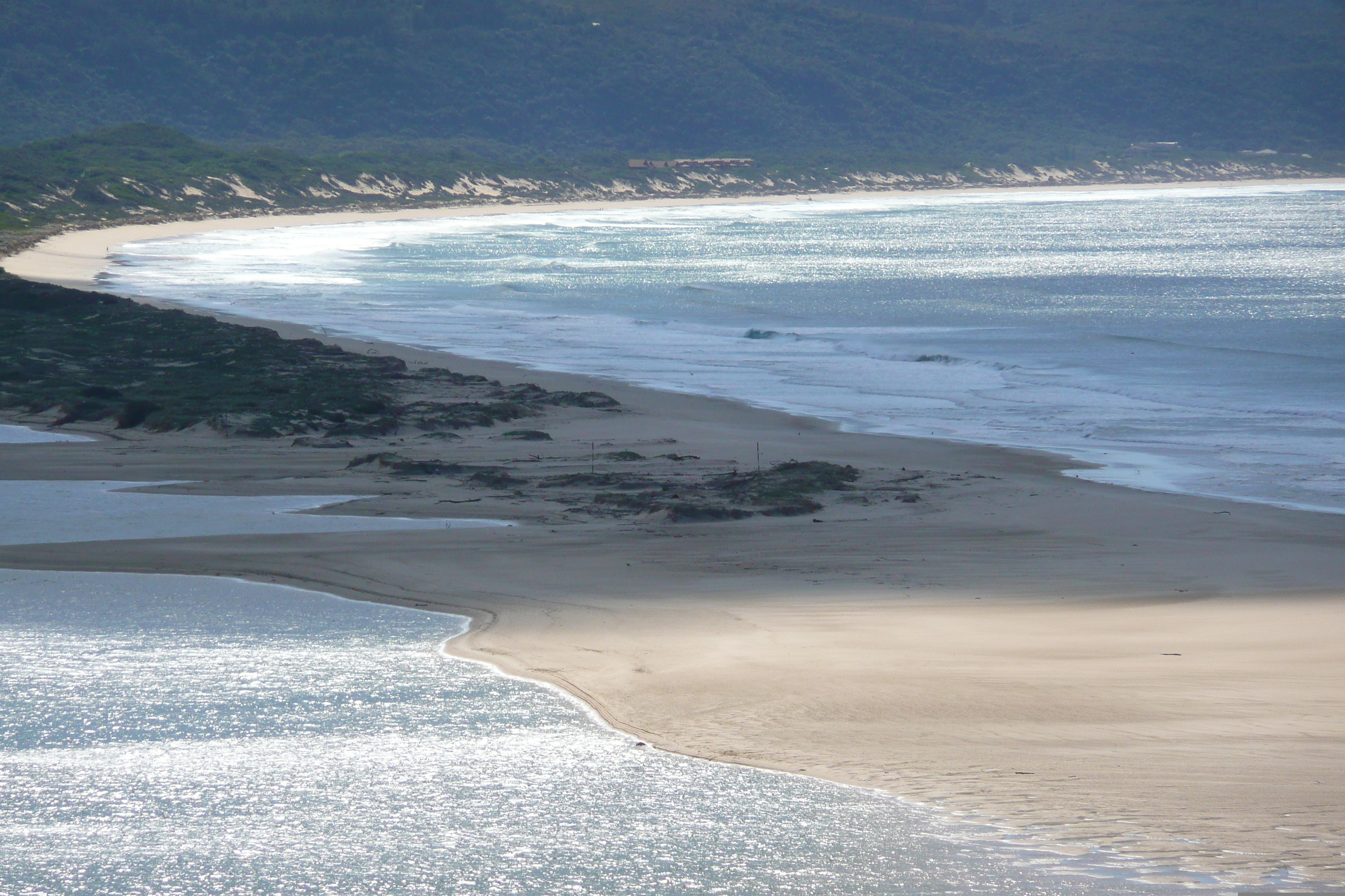 照片 南非(South Africa) 克尼斯纳至伊丽莎白港公路(Knysna to Port Elizabeth road) 2008-09 11
