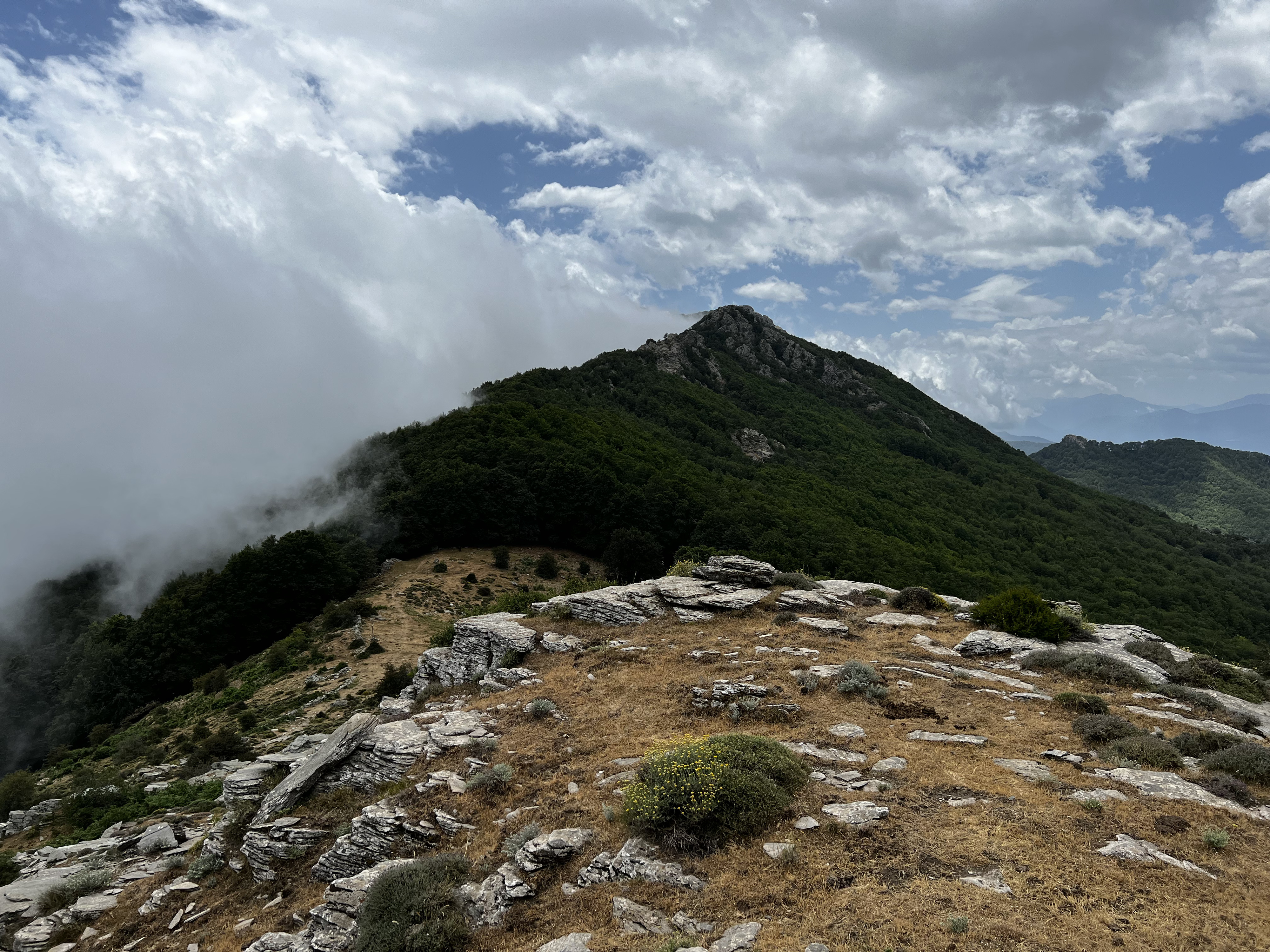 照片 法国(France) 科西嘉岛(Corsica) 卡莱鲁丘山屋(Refuge de Callerucciu) 2022-06 8