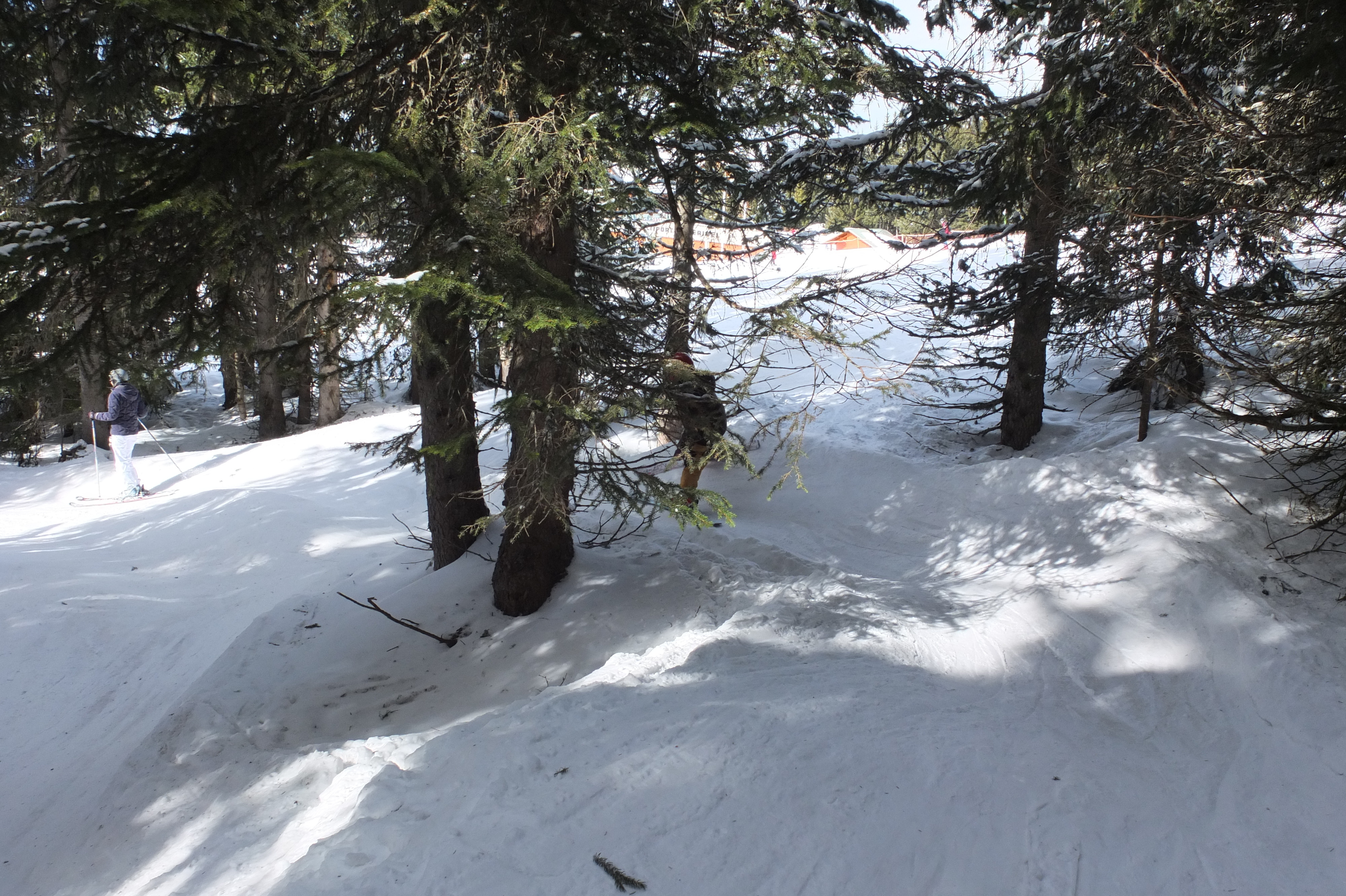 照片 法国(France) 三峡谷滑雪场(Les 3 Vallees) 2013-03 188