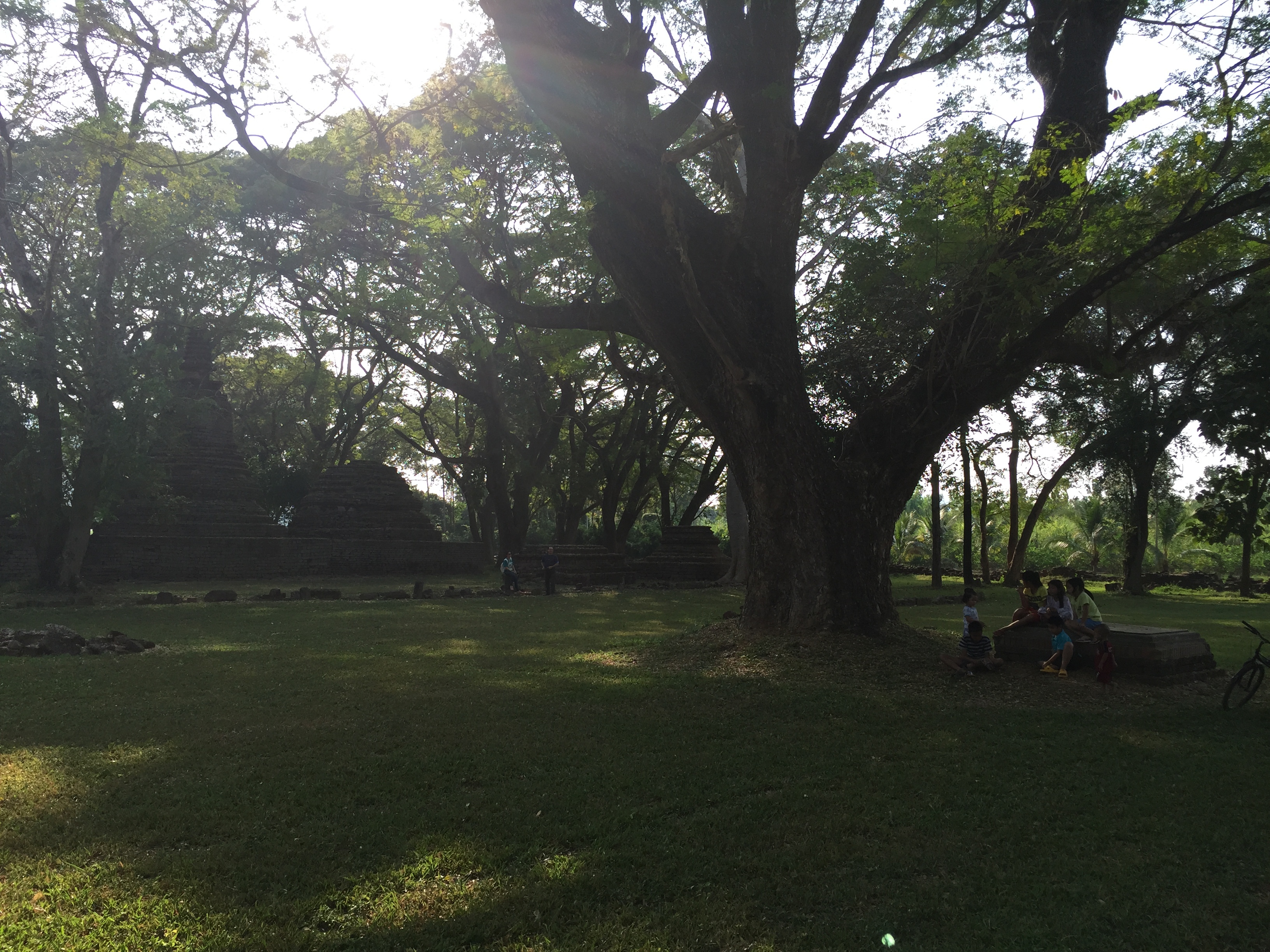 照片 泰国(Thailand) 西沙差那莱历史公园(Si satchanalai historical park) 2014-12 13