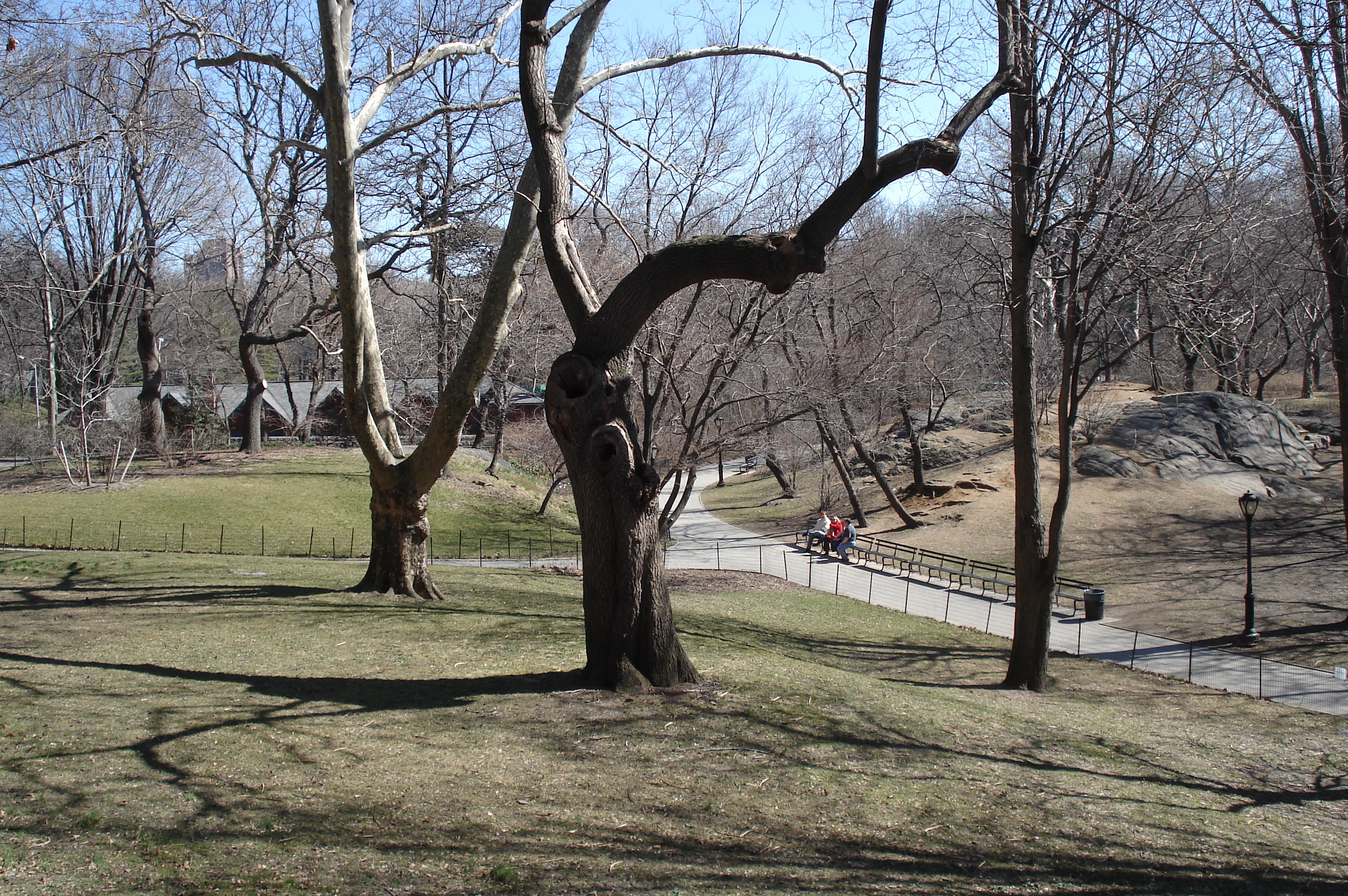 照片 美国(United States) 纽约(New York) 中央公园(Central Park) 2006-03 16