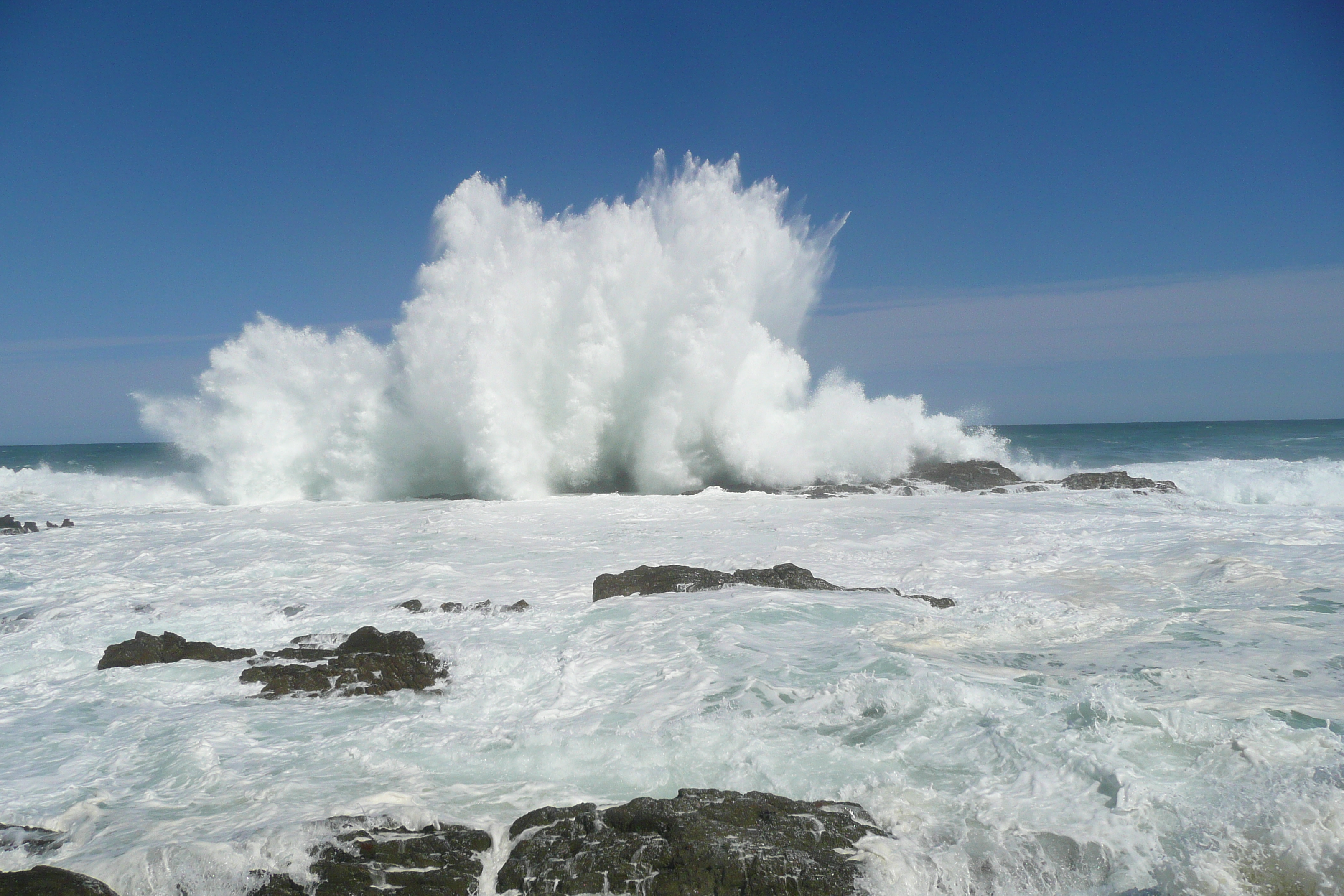 照片 南非(South Africa) 齐齐卡马国家公园(Tsitsikamma National Park) 2008-09 164