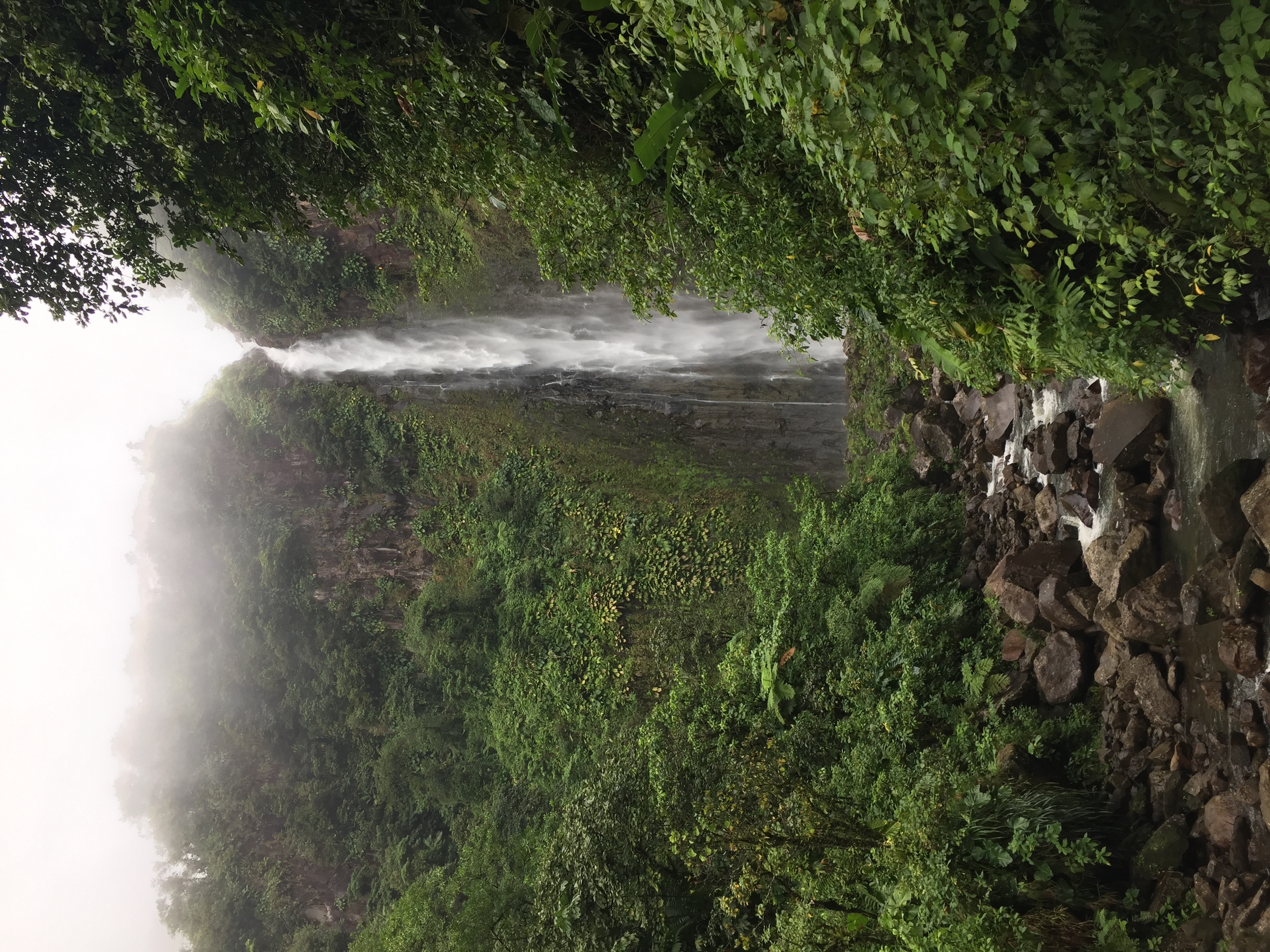 照片 瓜德罗普(Guadeloupe) 卡尔贝瀑布(Carbet Falls) 2021-02 59