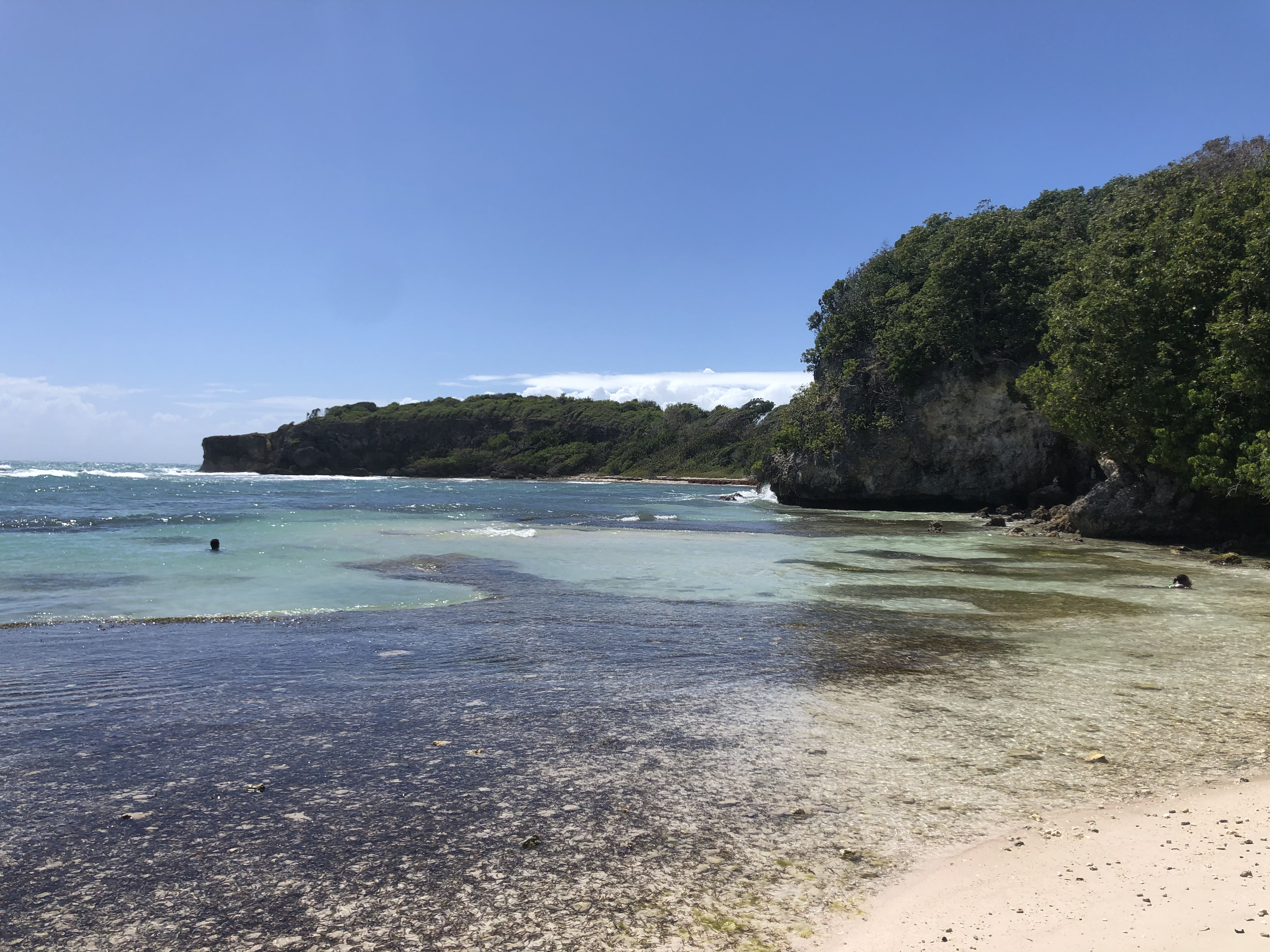 照片 瓜德罗普(Guadeloupe) 城堡角(Castle Point) 2021-02 348