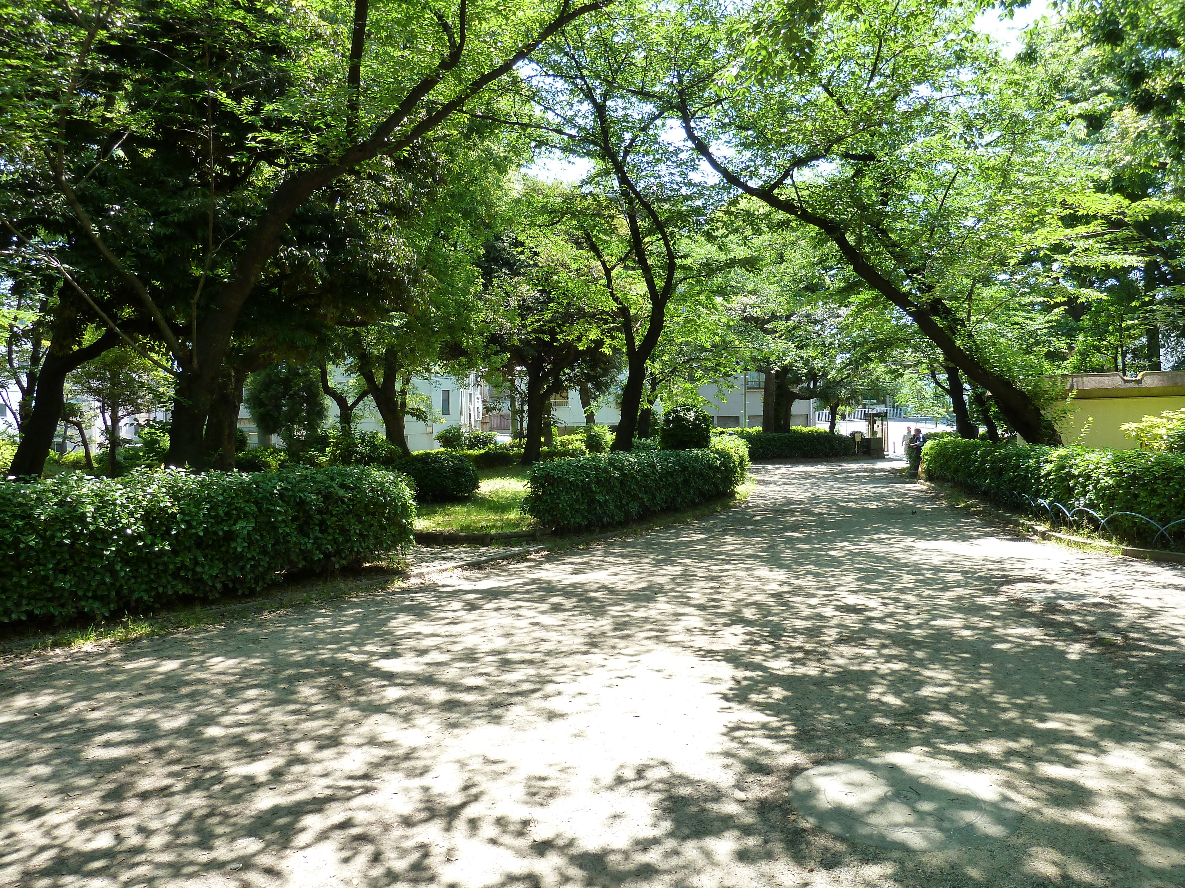 照片 日本(Japan) 东京(Tokyo) 墨田(Sumida) 2010-06 30