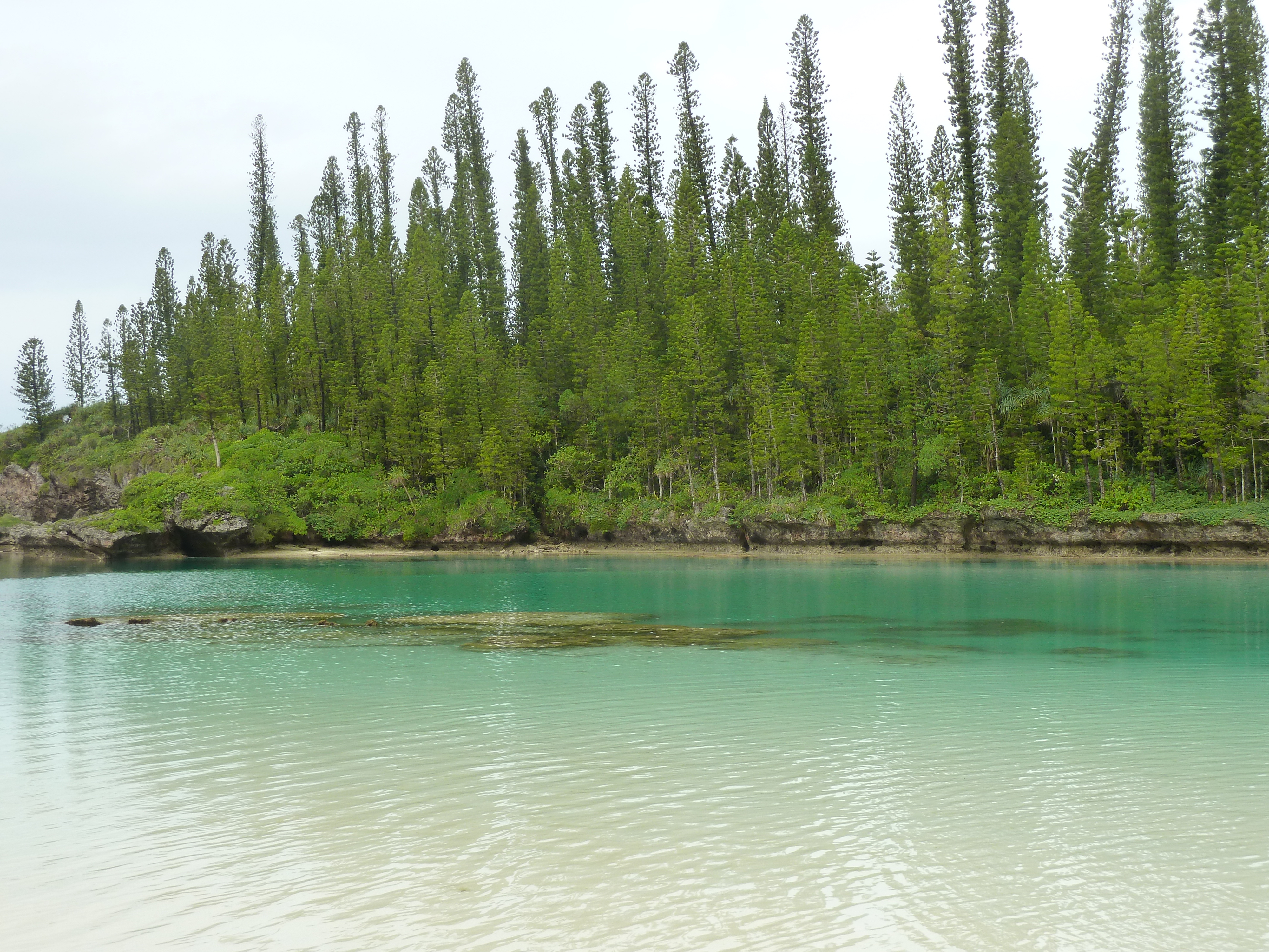 照片 新喀里多尼亚(New Caledonia) 2010-05 93