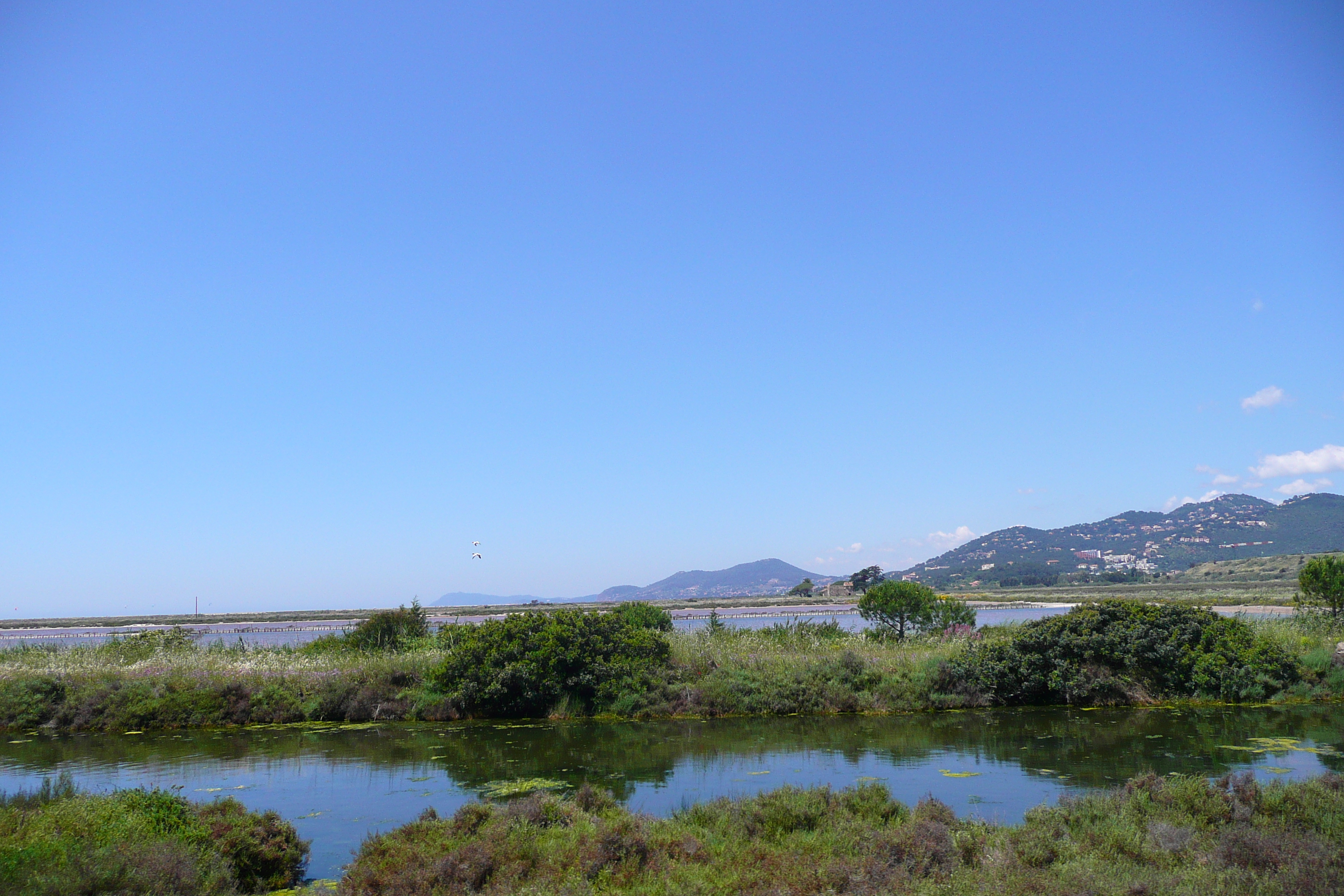 照片 法国(France) 蔚蓝海岸(French Riviera) 耶尔半岛(Hyeres peninsula) 2008-05 2