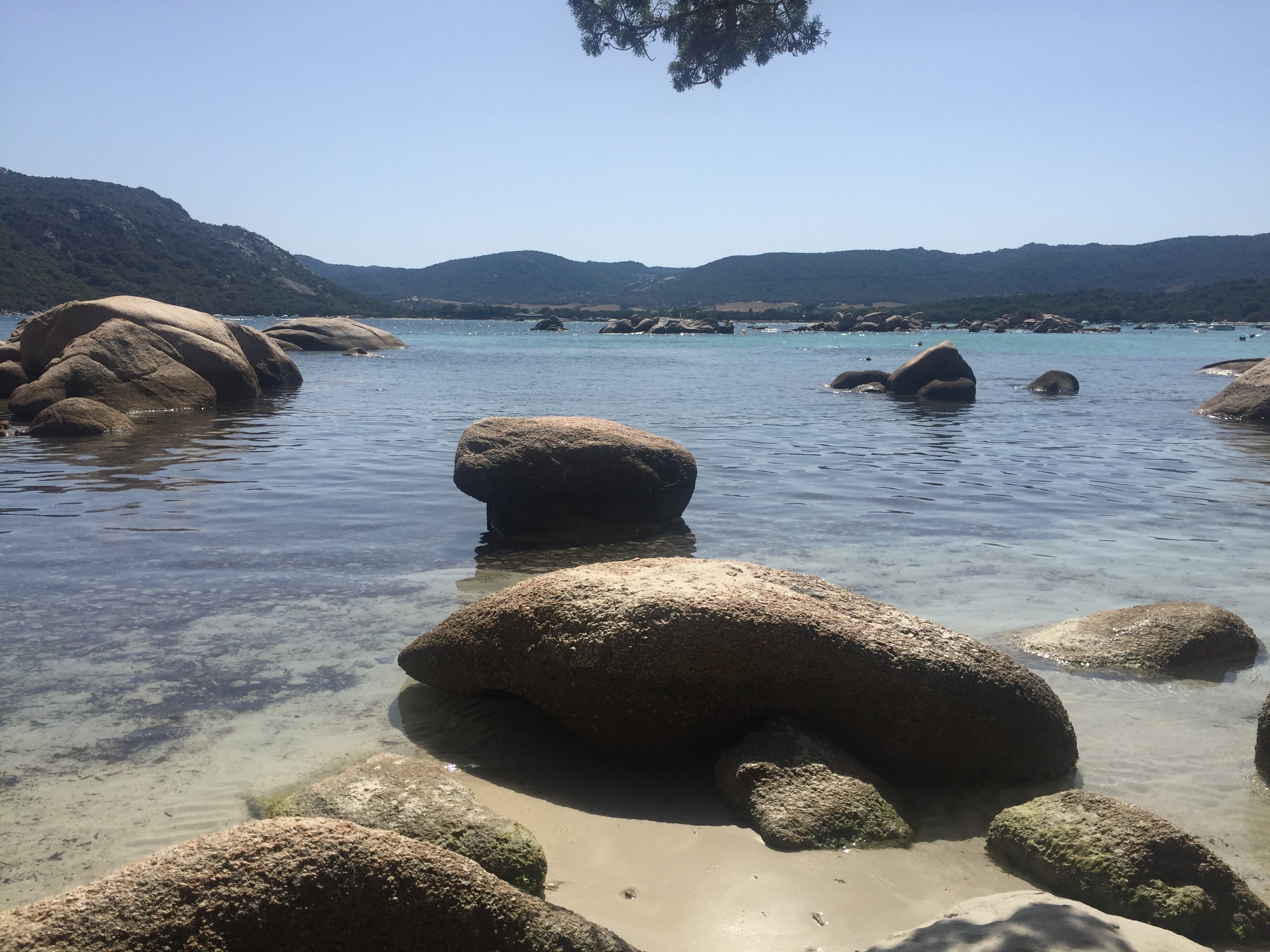照片 法国(France) 科西嘉岛(Corsica) 圣朱莉亚海滩(Santa Giulia Beach) 2017-07 65
