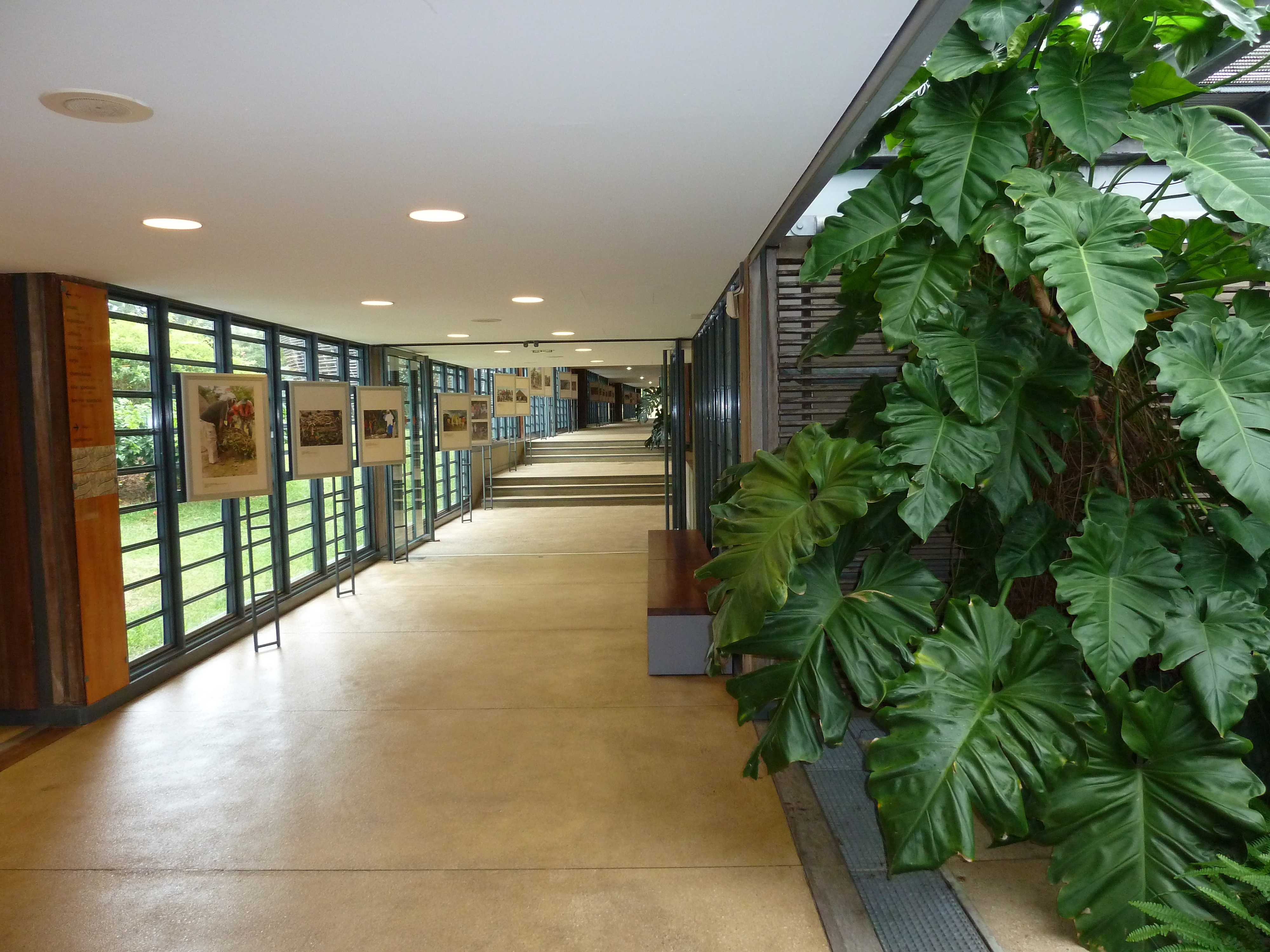 照片 新喀里多尼亚(New Caledonia) 吉巴欧文化中心(Tjibaou Cultural Centre) 2010-05 32