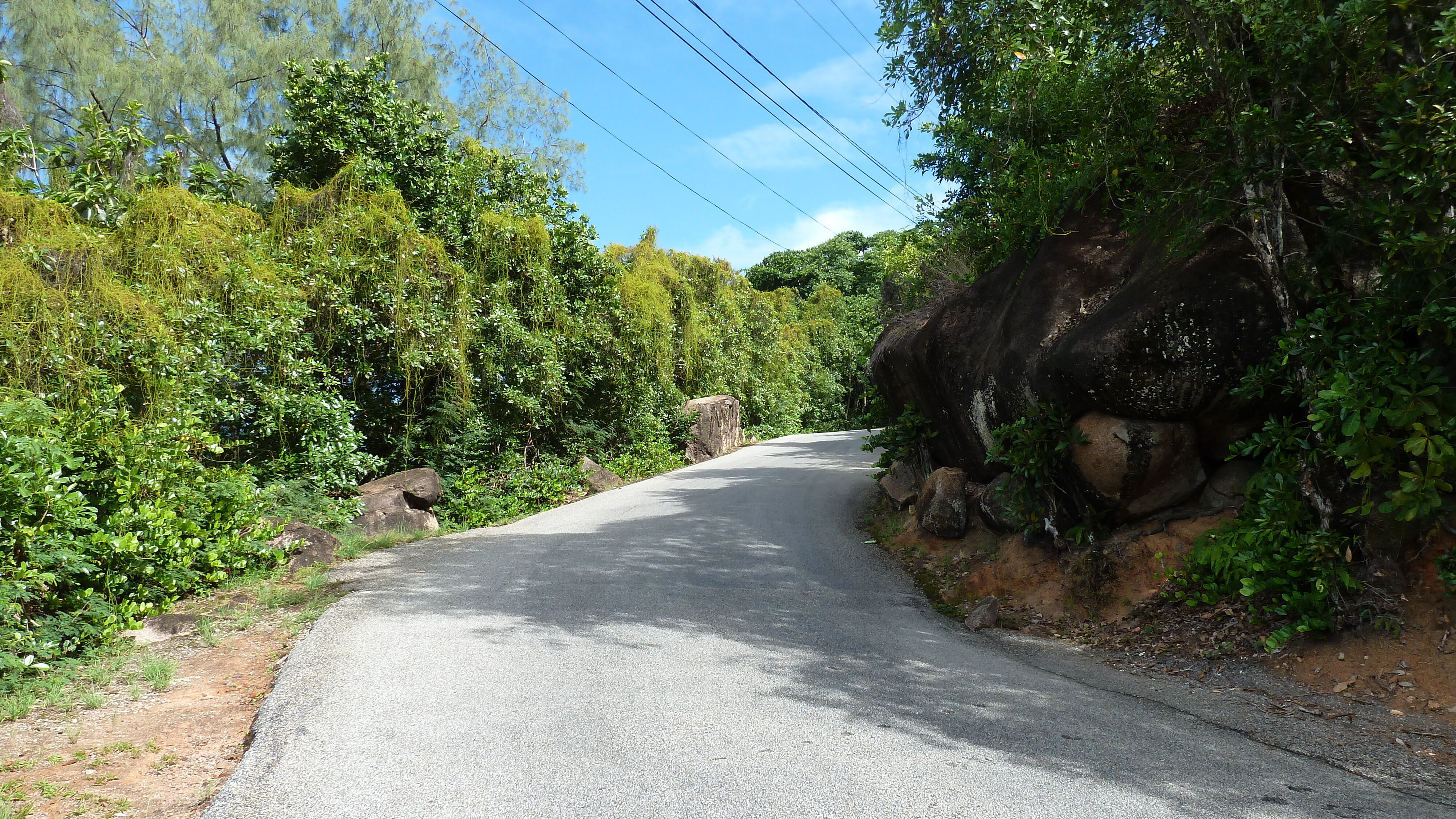 照片 塞舌尔(Seychelles) 普拉兰岛(Praslin) 2011-10 104