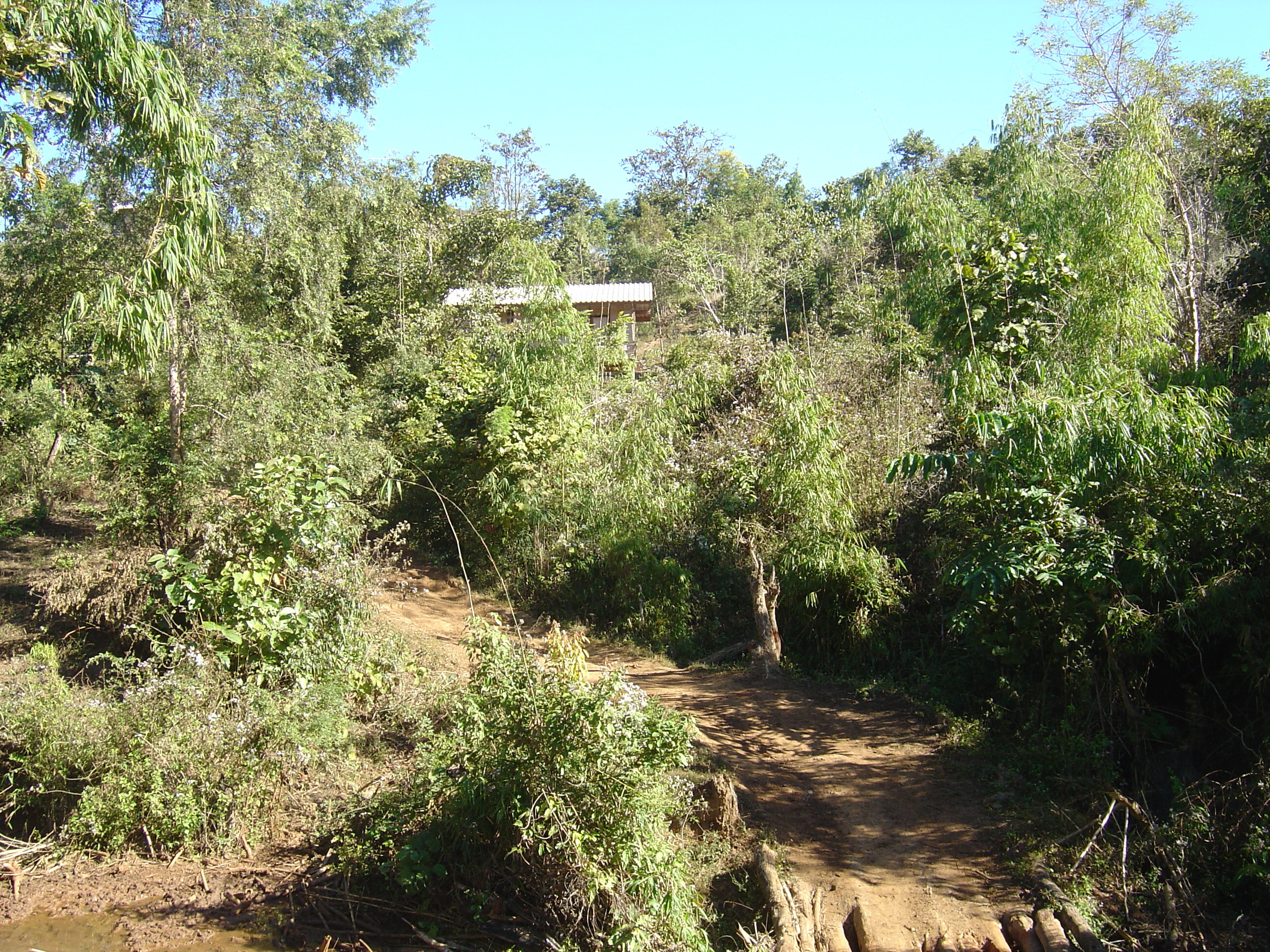 照片 泰国(Thailand) 邦玛帕(Pang Mapha) 2005-12 121