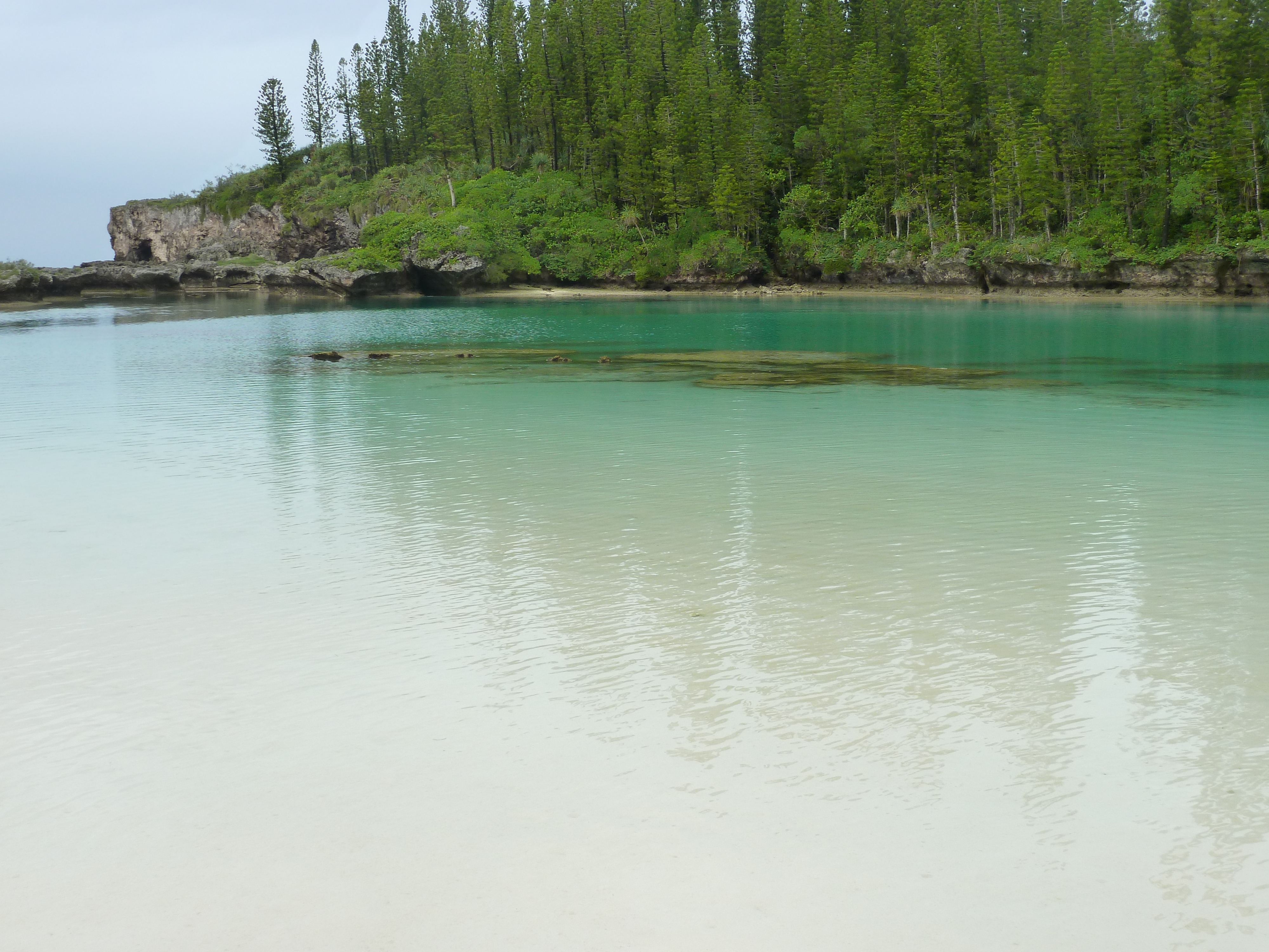 照片 新喀里多尼亚(New Caledonia) 2010-05 41