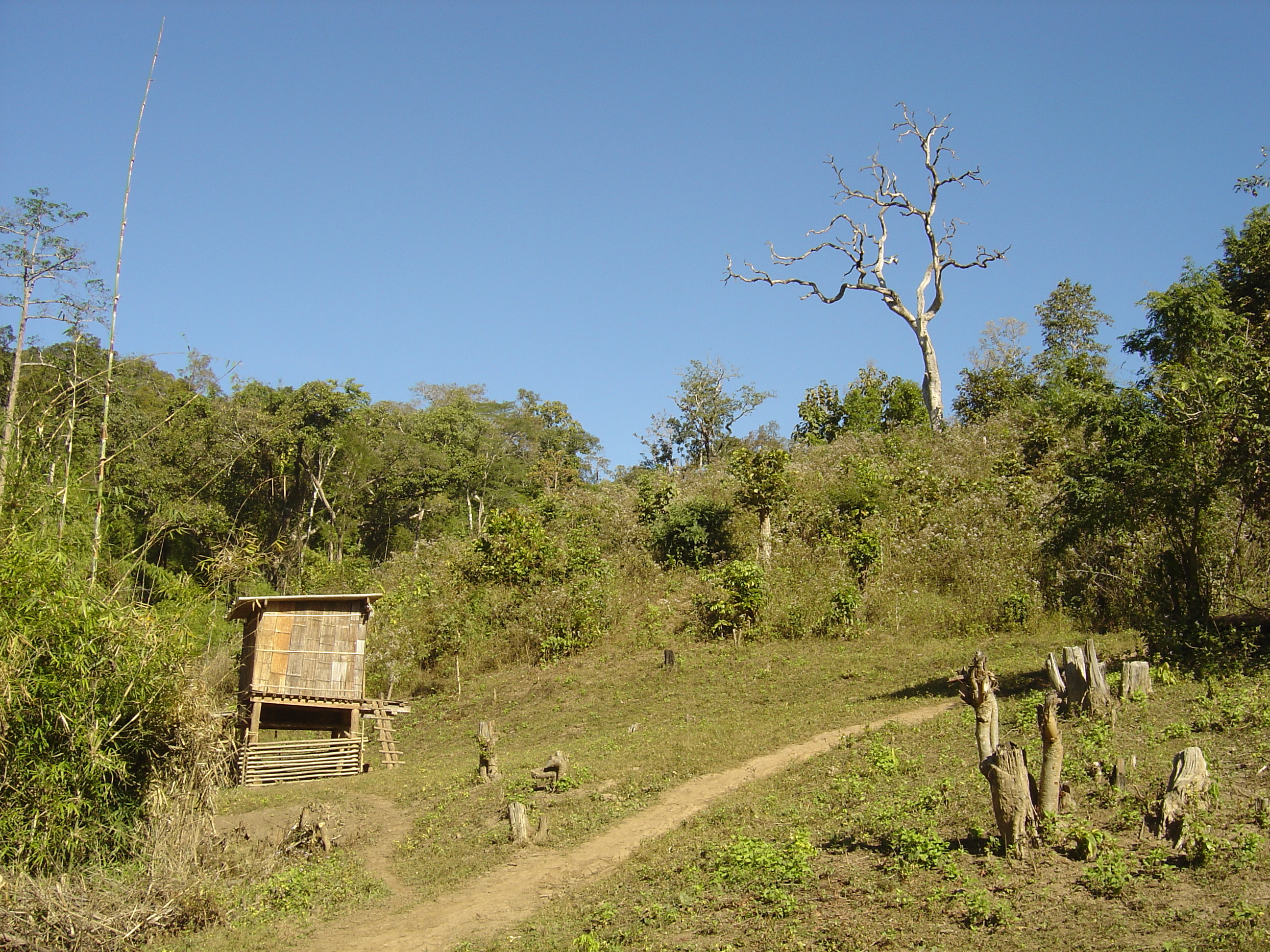 照片 泰国(Thailand) 邦玛帕(Pang Mapha) 2005-12 67