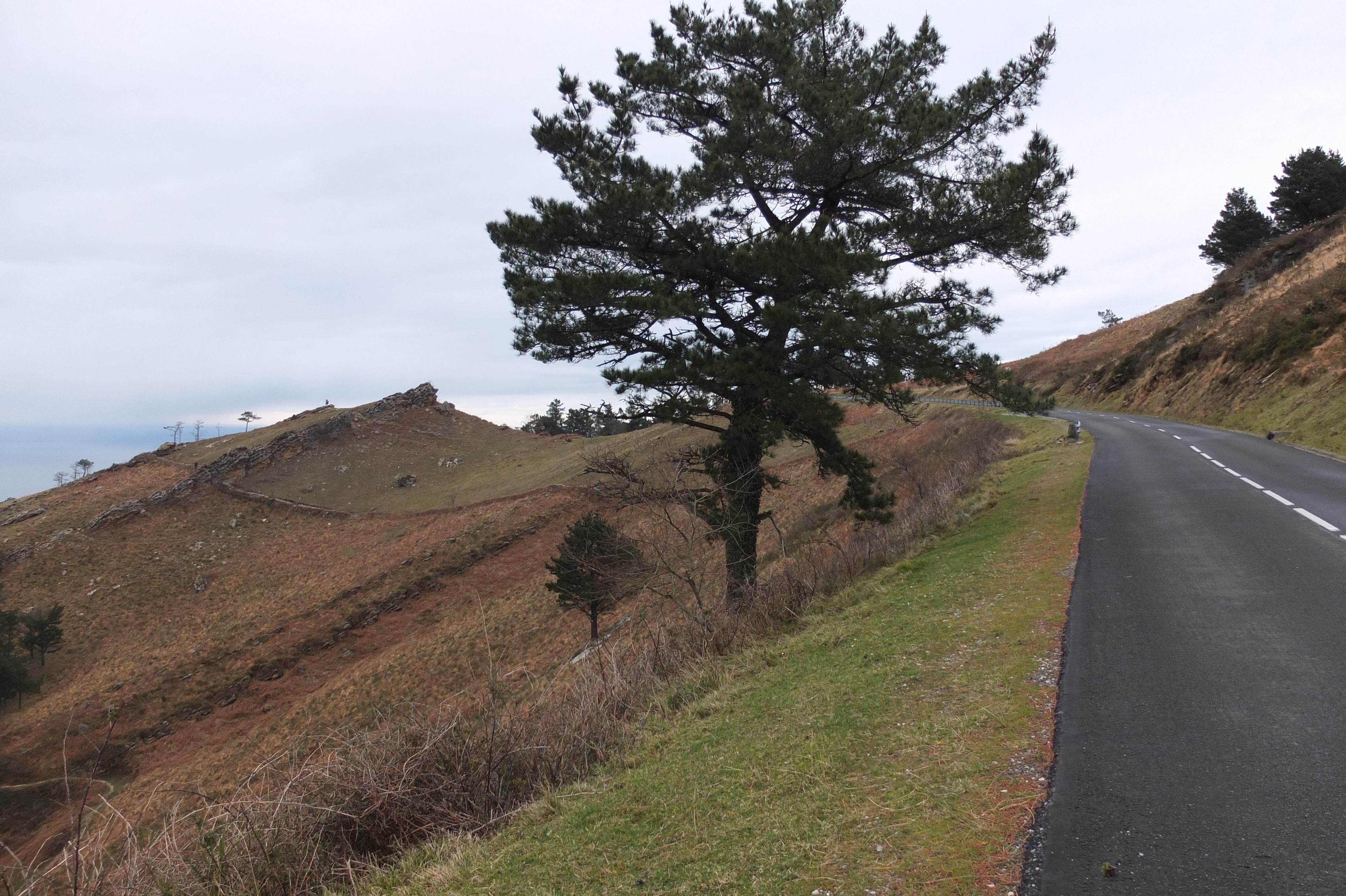 照片 法国(France) 巴斯克地区(Basque Country) 2013-01 113