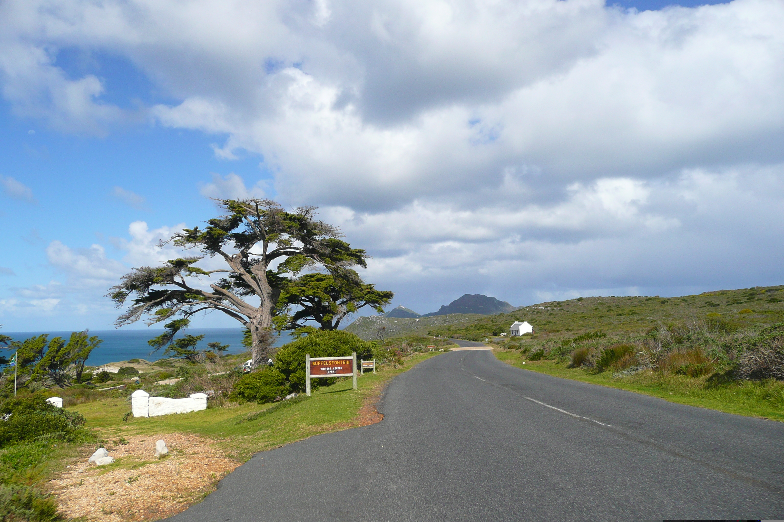 照片 南非(South Africa) 好望角(Cape of Good Hope) 开普角(Cape Point) 2008-09 33