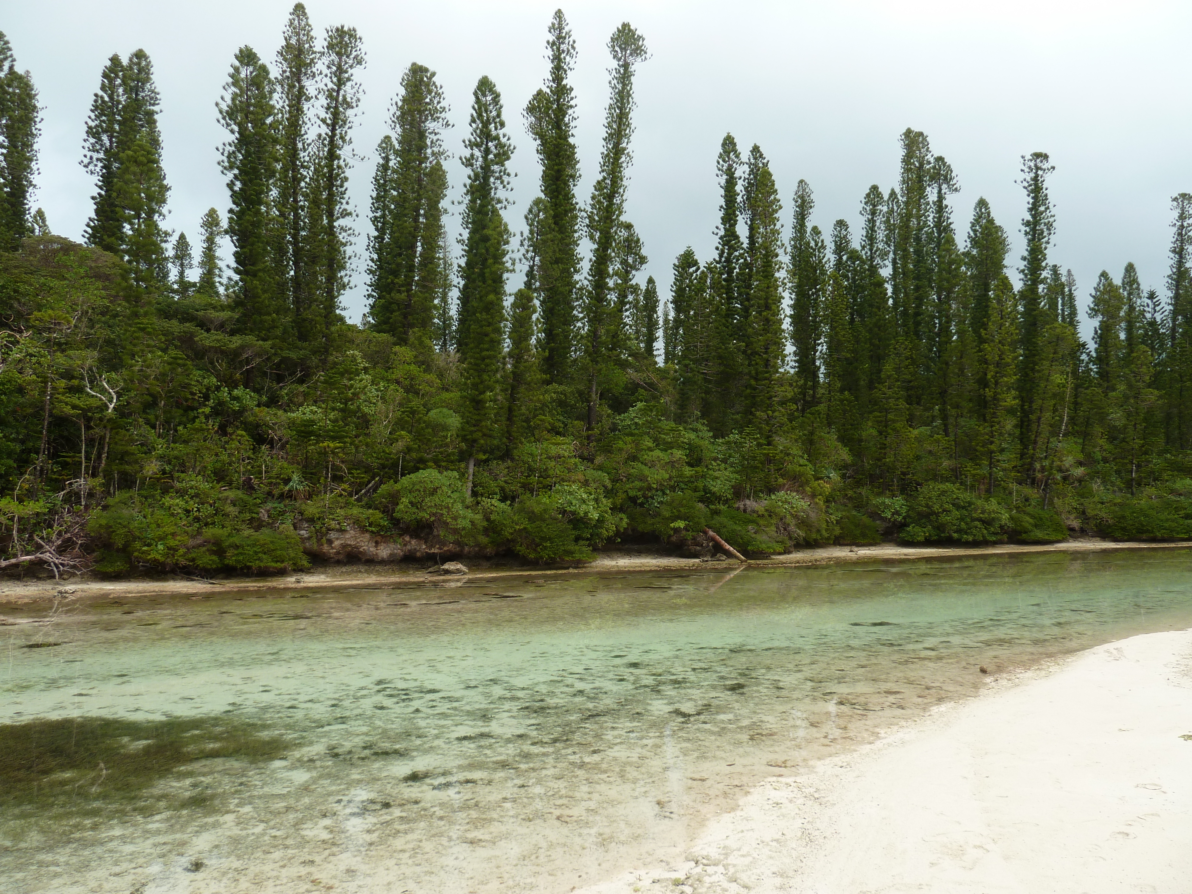 照片 新喀里多尼亚(New Caledonia) 松树岛(Ile des pins) 奥罗湾(Oro Bay) 2010-05 50