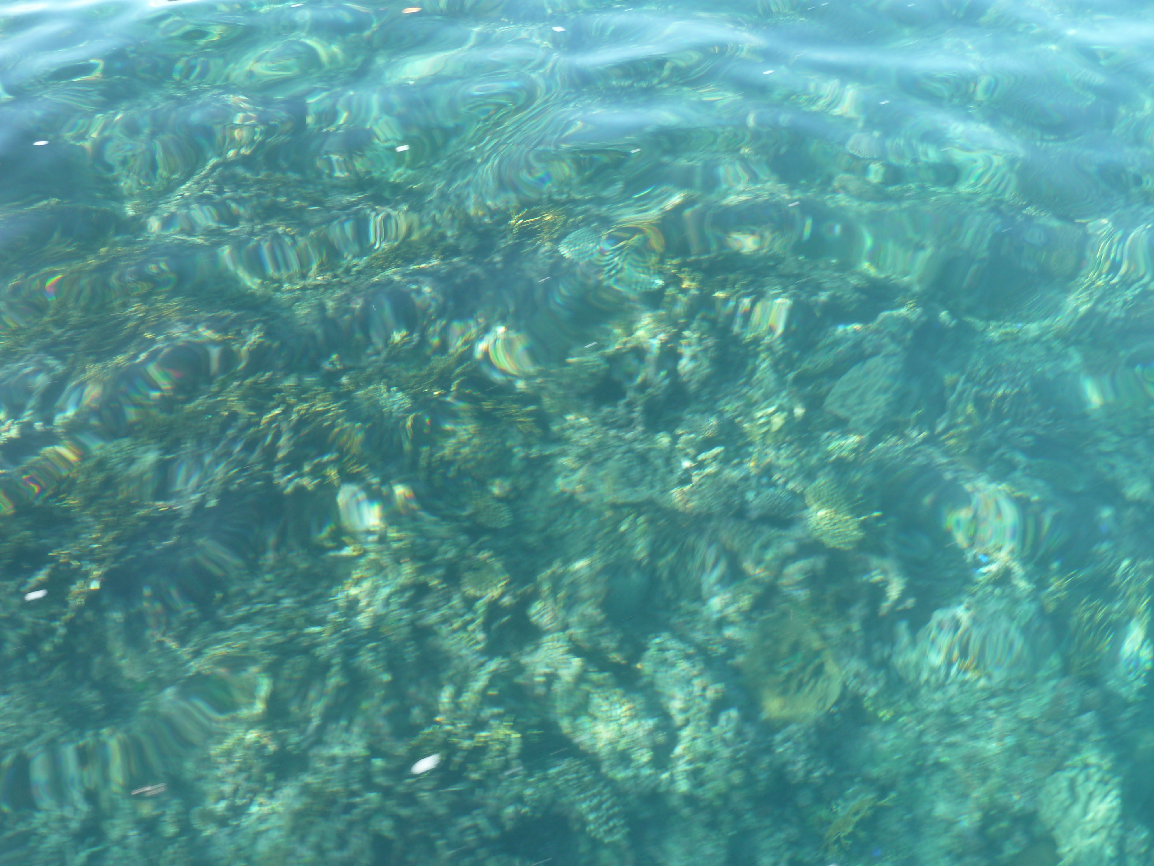 照片 斐济(Fiji) 阿穆努卡岛至漂流者岛(Amunuca Island to Castaway Island) 2010-05 56