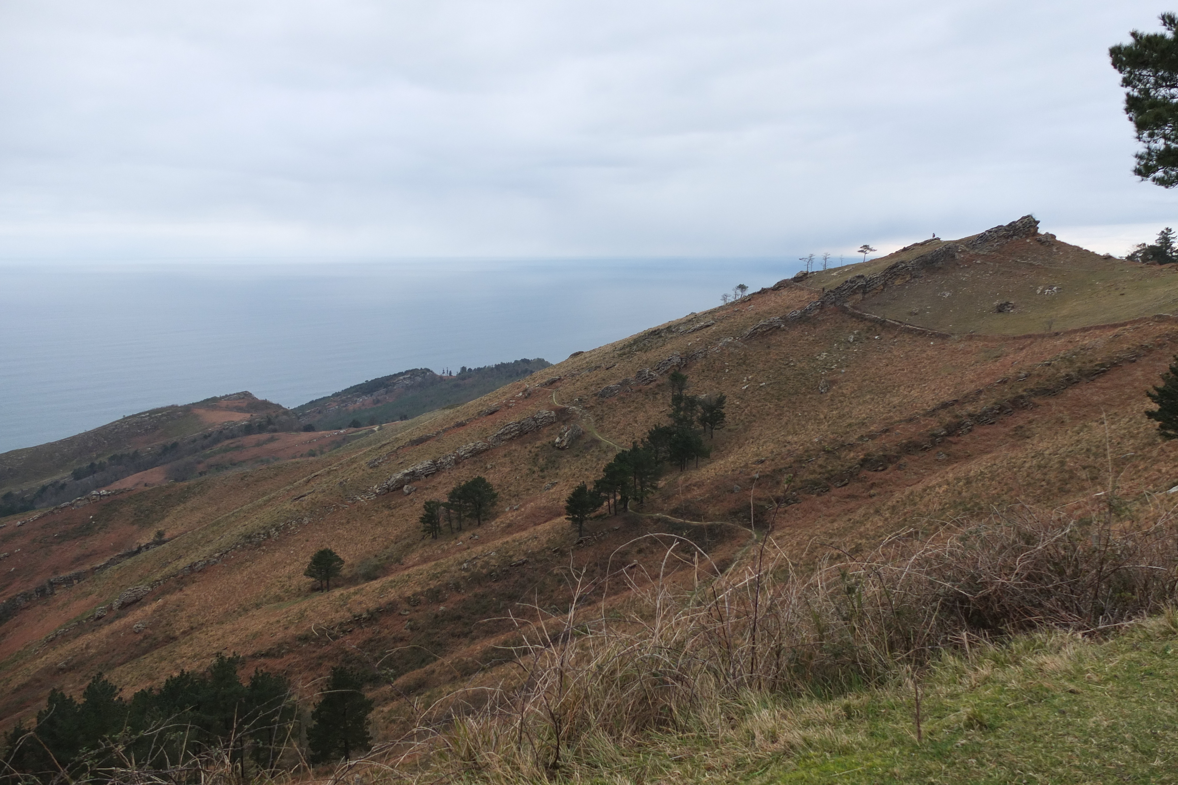 照片 法国(France) 巴斯克地区(Basque Country) 2013-01 116