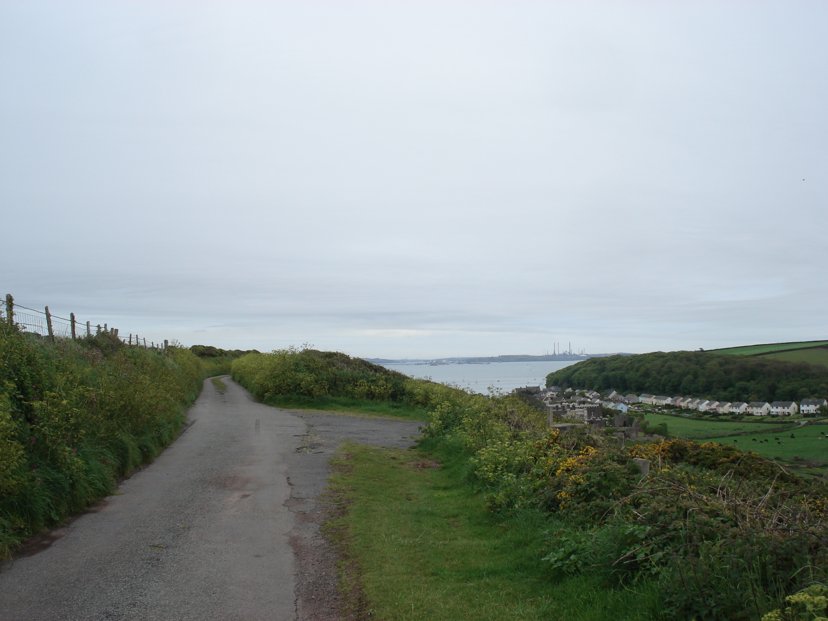 照片 英国(United Kingdom) 彭布罗克郡(Pembrokeshire) 圣安角(St. Ann's Head) 2006-05 0