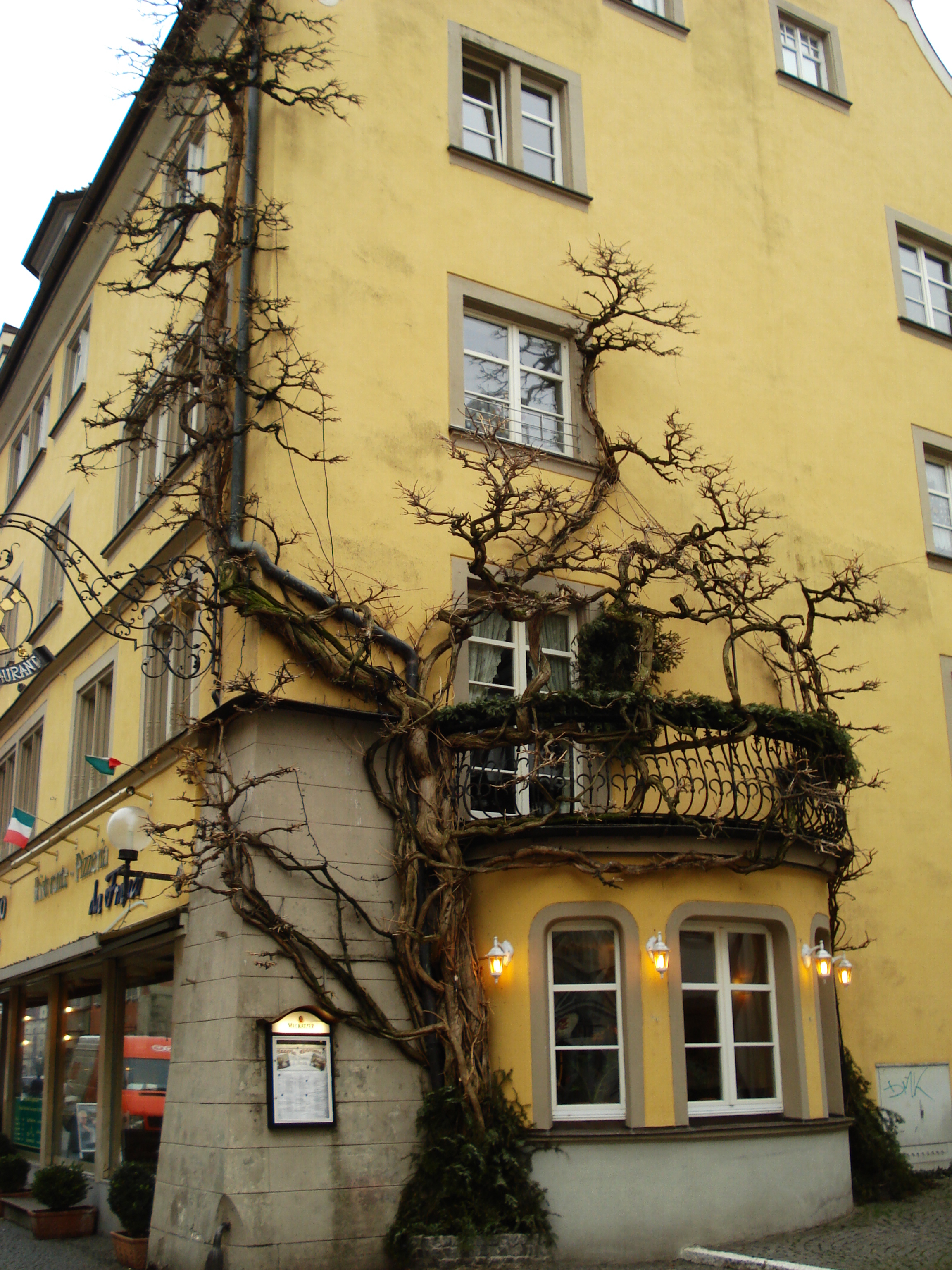 照片 德国(Germany) 林道(Lindau) 2007-01 77