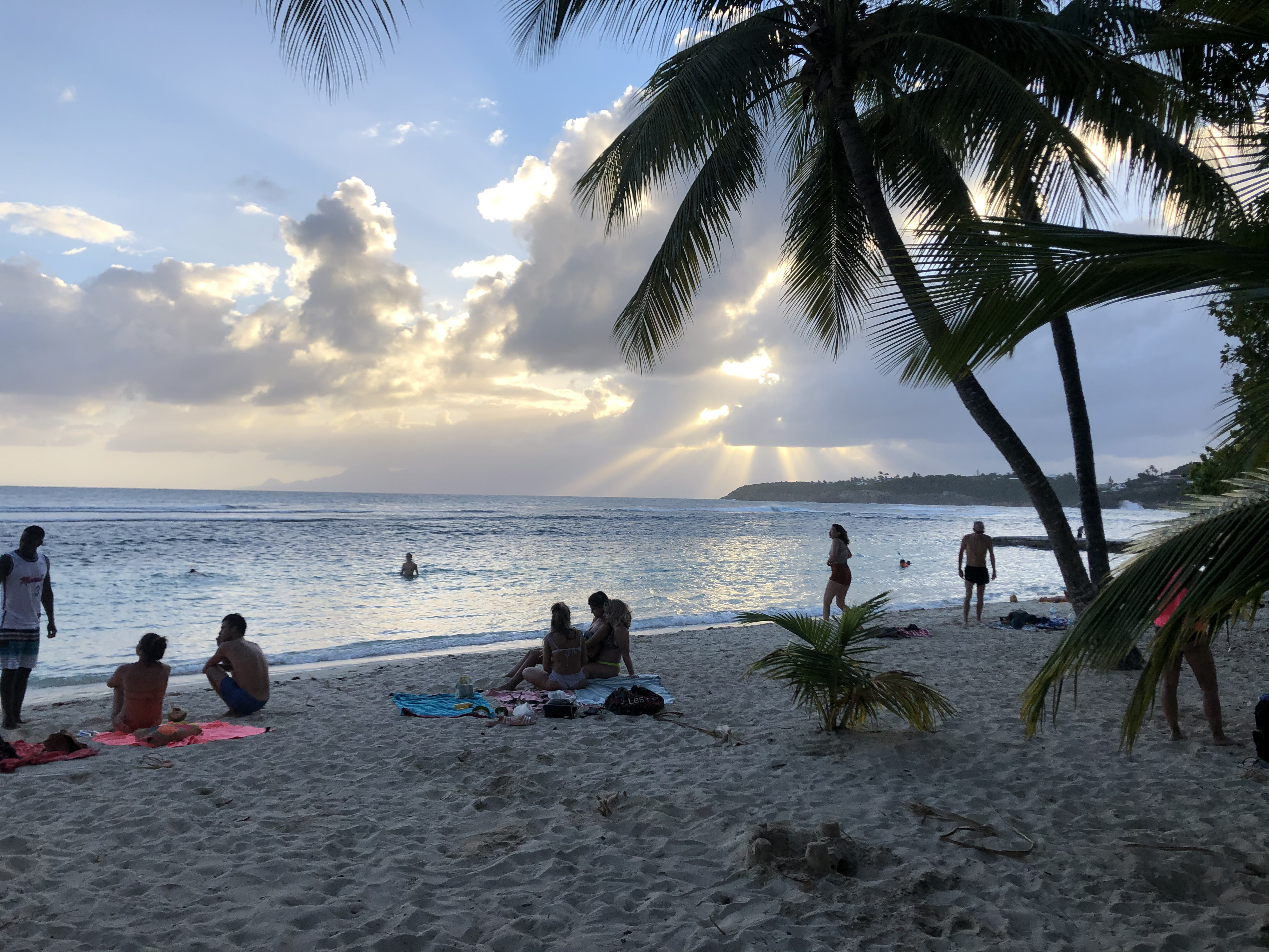照片 瓜德罗普(Guadeloupe) 圣安妮(Sainte Anne) 2021-02 83